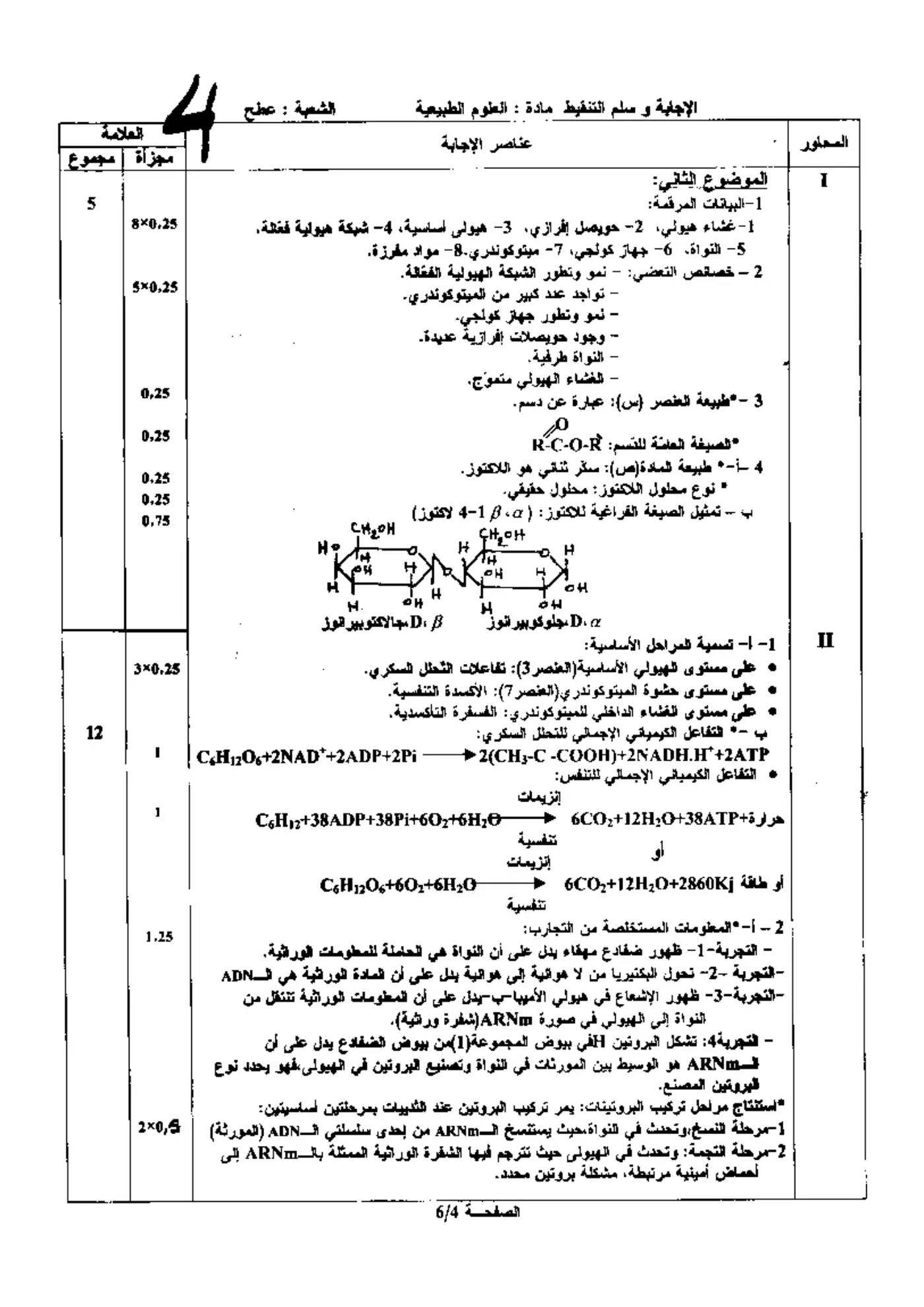 الصفحة 4 من 6