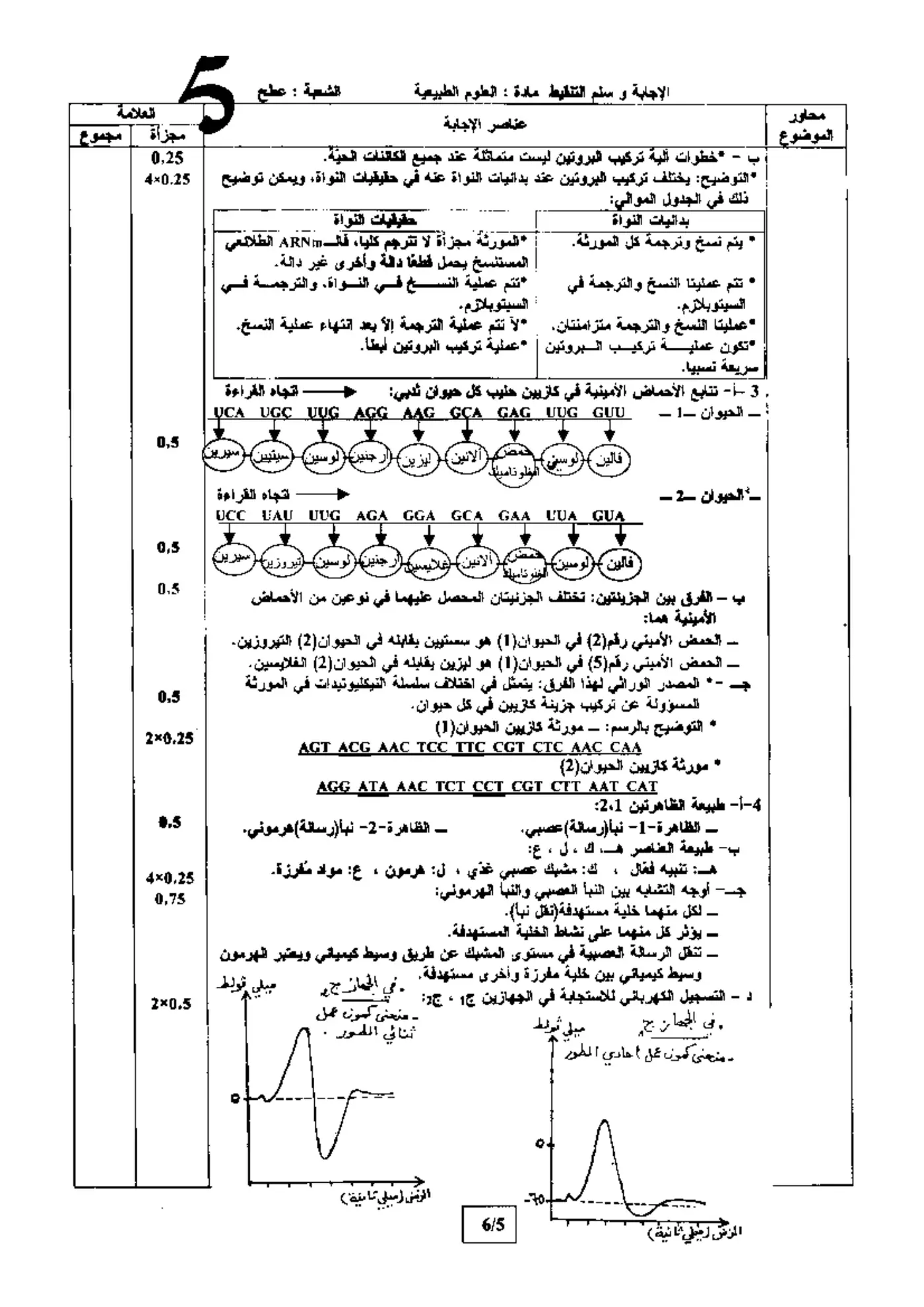 الصفحة 5 من 6