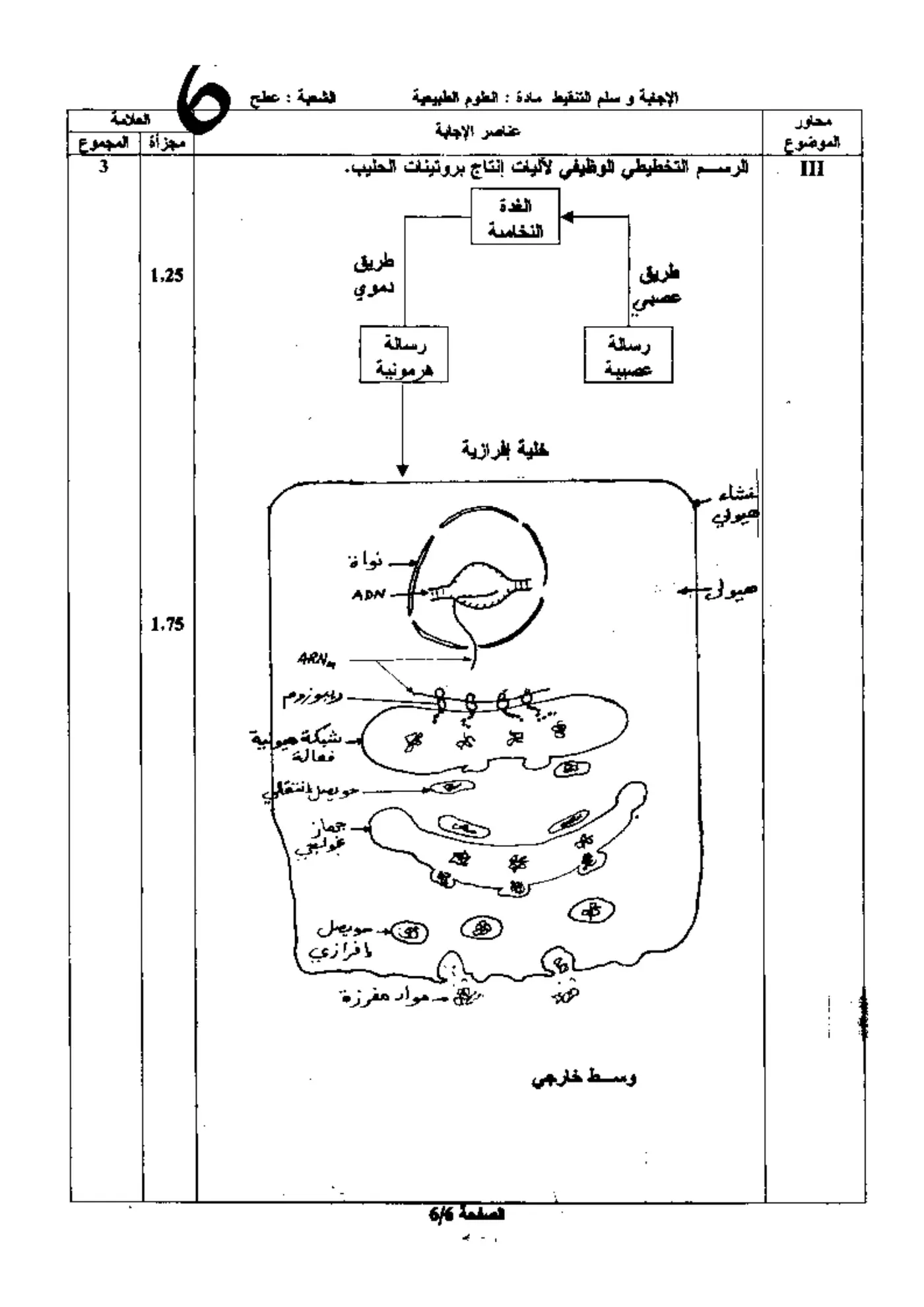 الصفحة 6 من 6