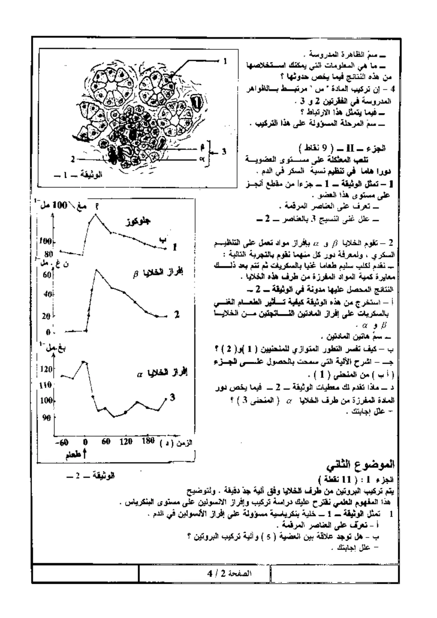 الصفحة 2 من 4