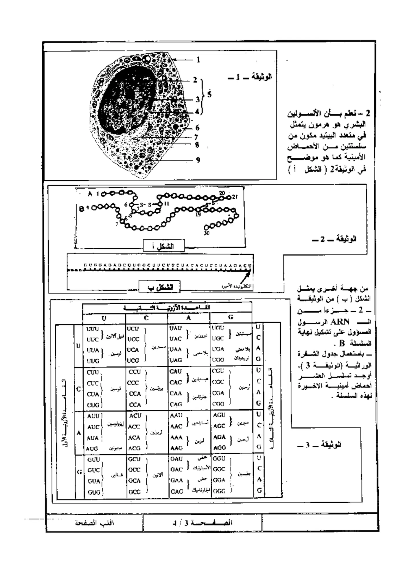 الصفحة 3 من 4
