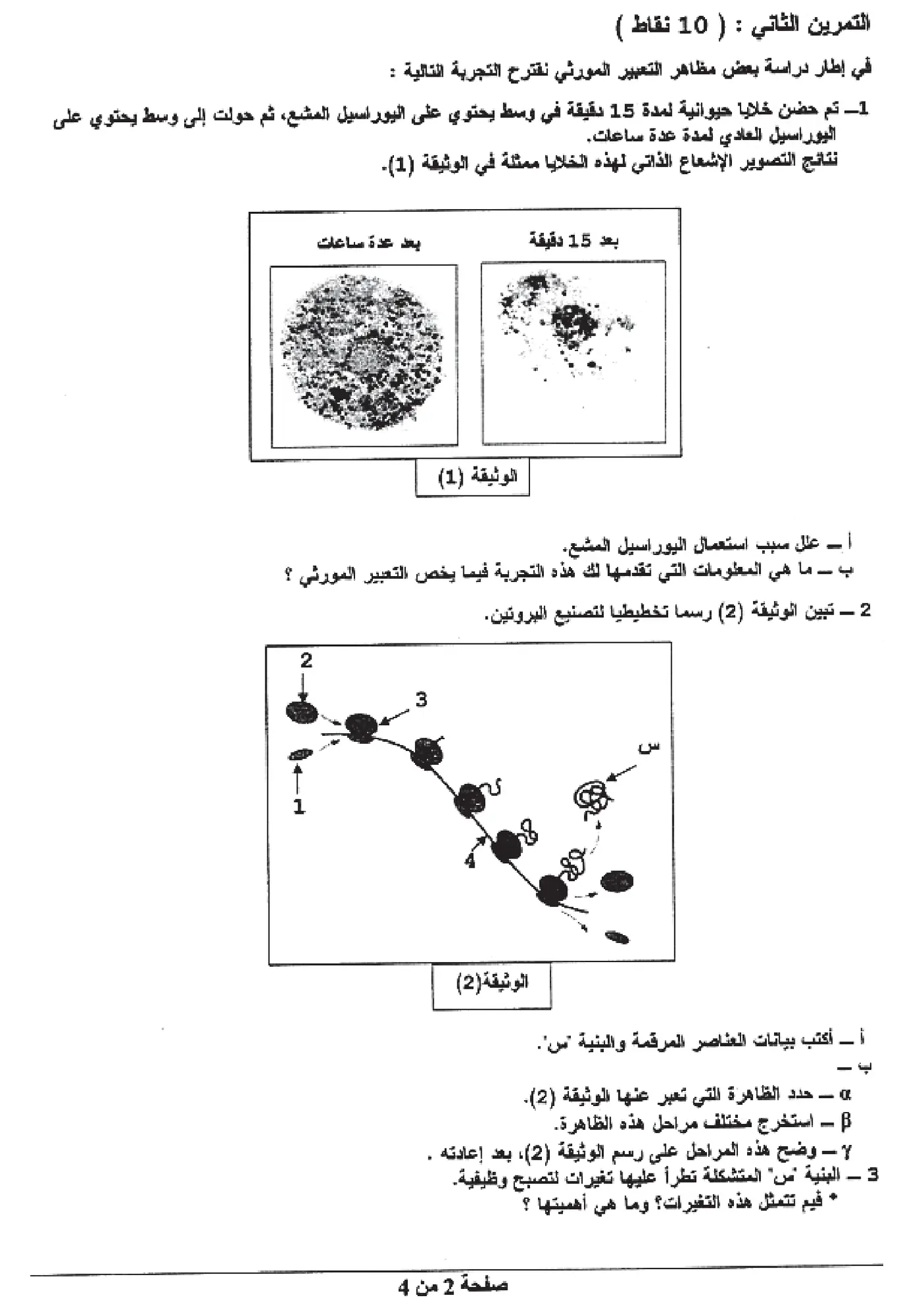 الصفحة 2 من 4