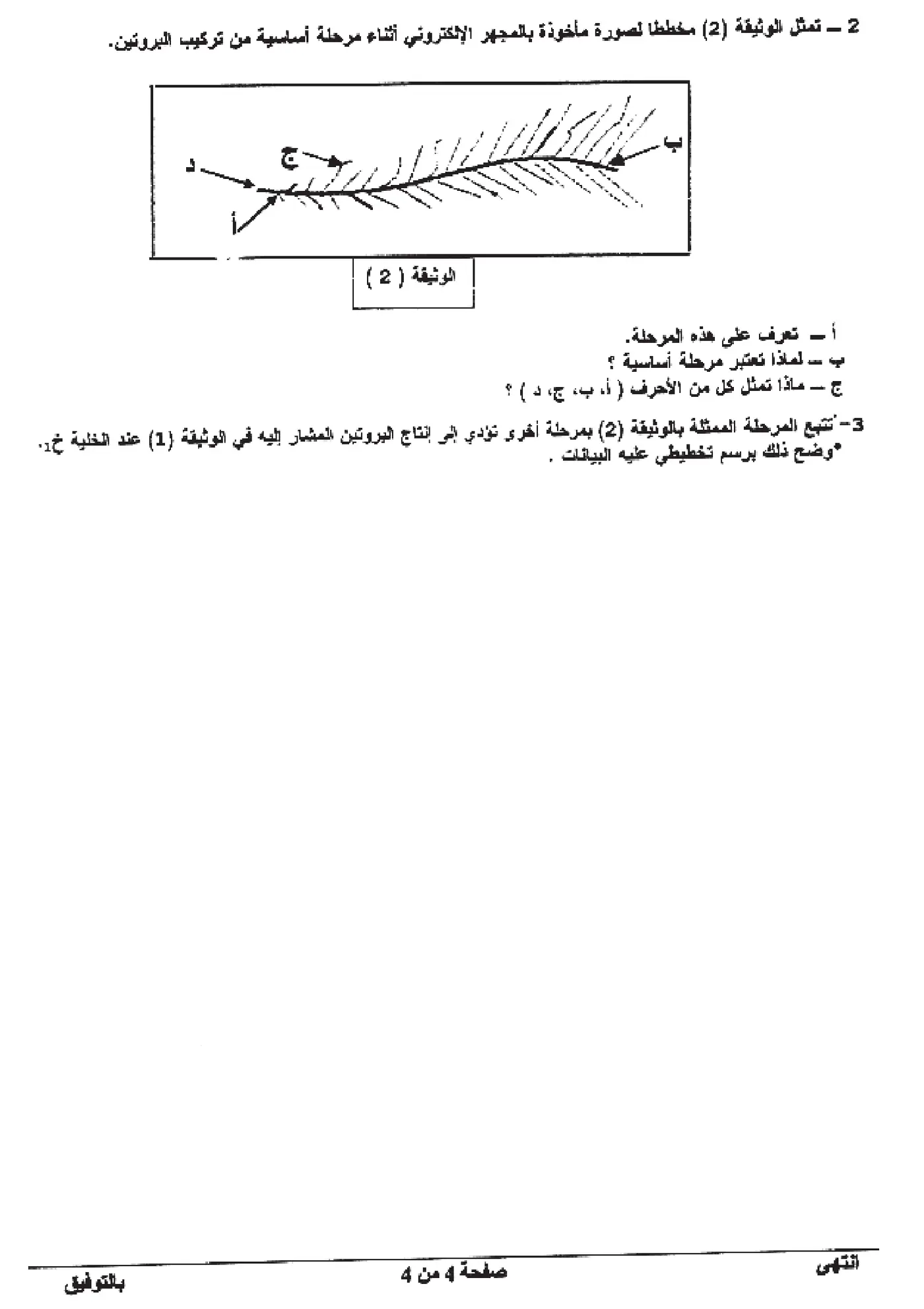الصفحة 4 من 4