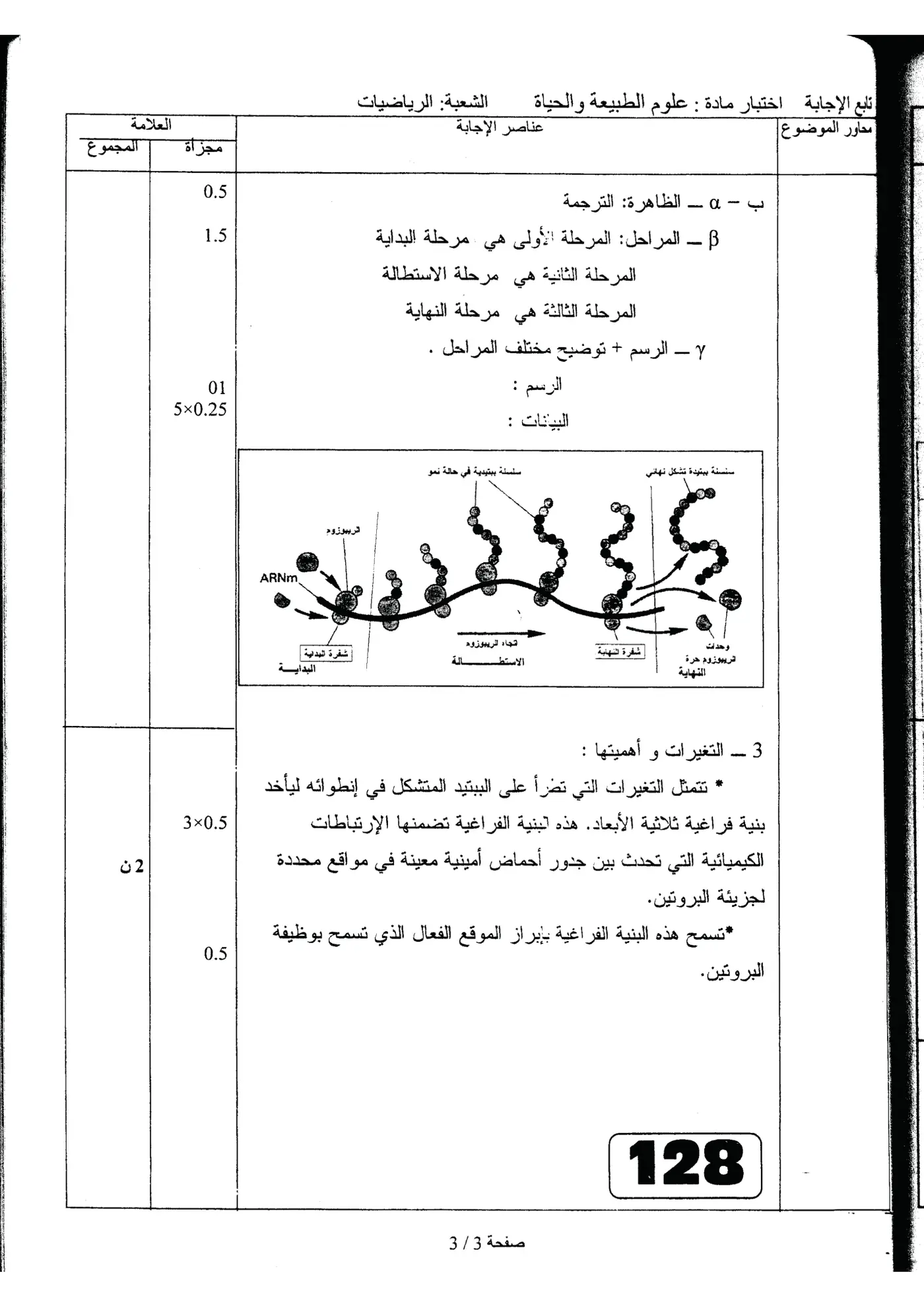 الصفحة 3 من 5