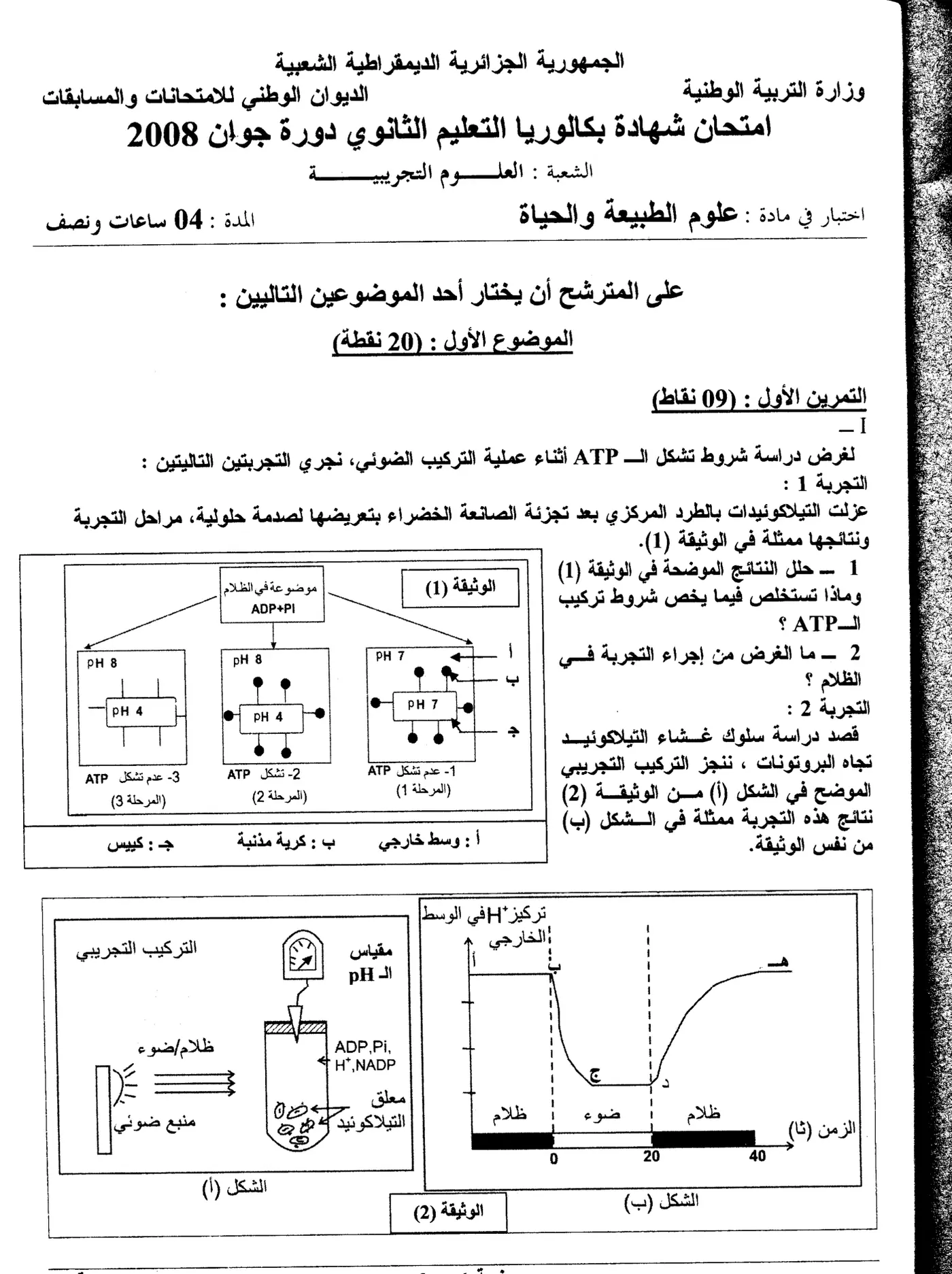 الصفحة 1 من 6