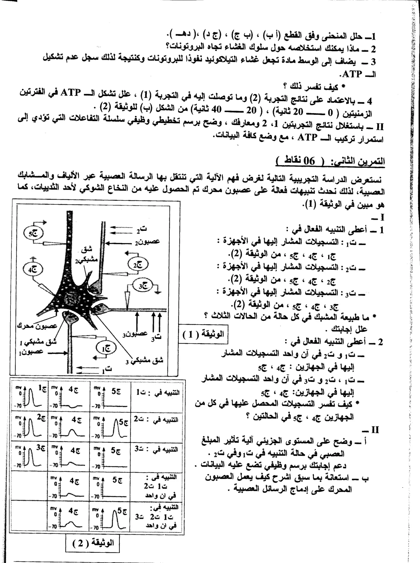 الصفحة 2 من 6