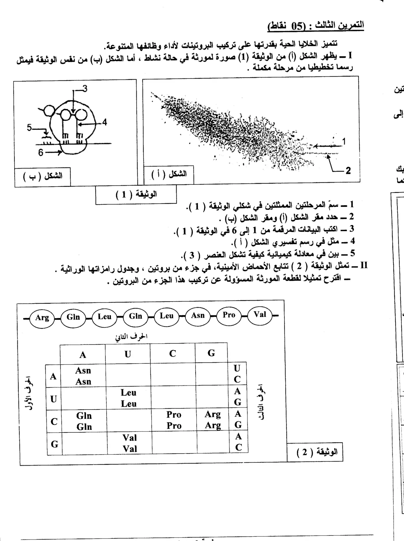 الصفحة 3 من 6