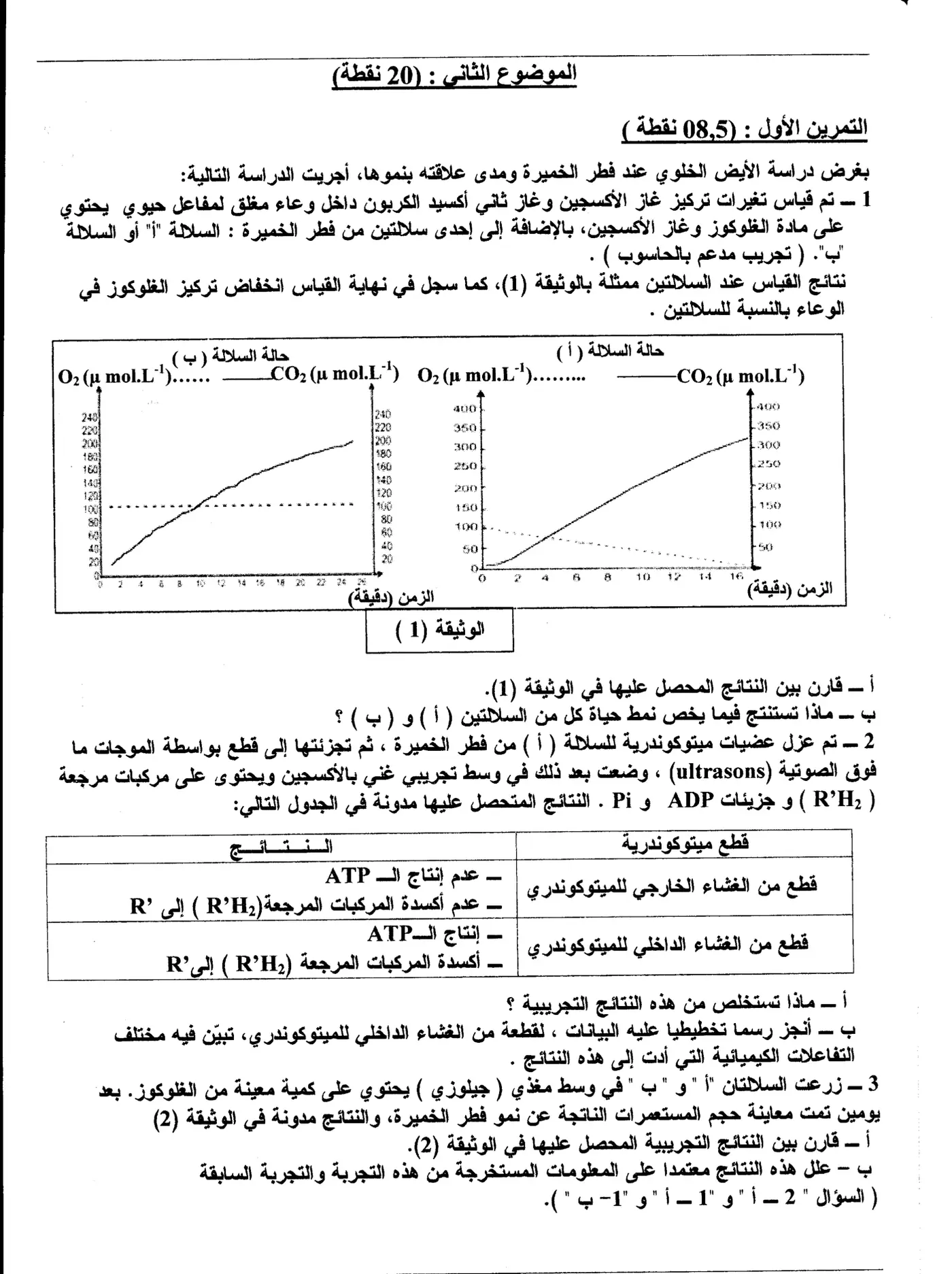 الصفحة 4 من 6