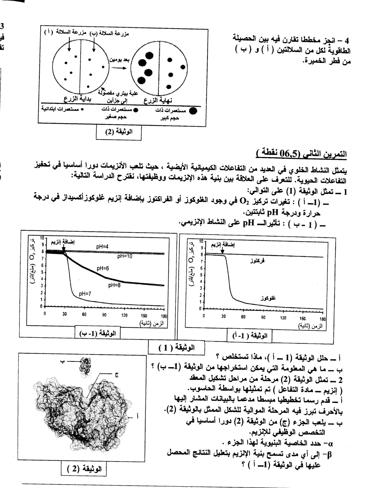 الصفحة 5 من 6