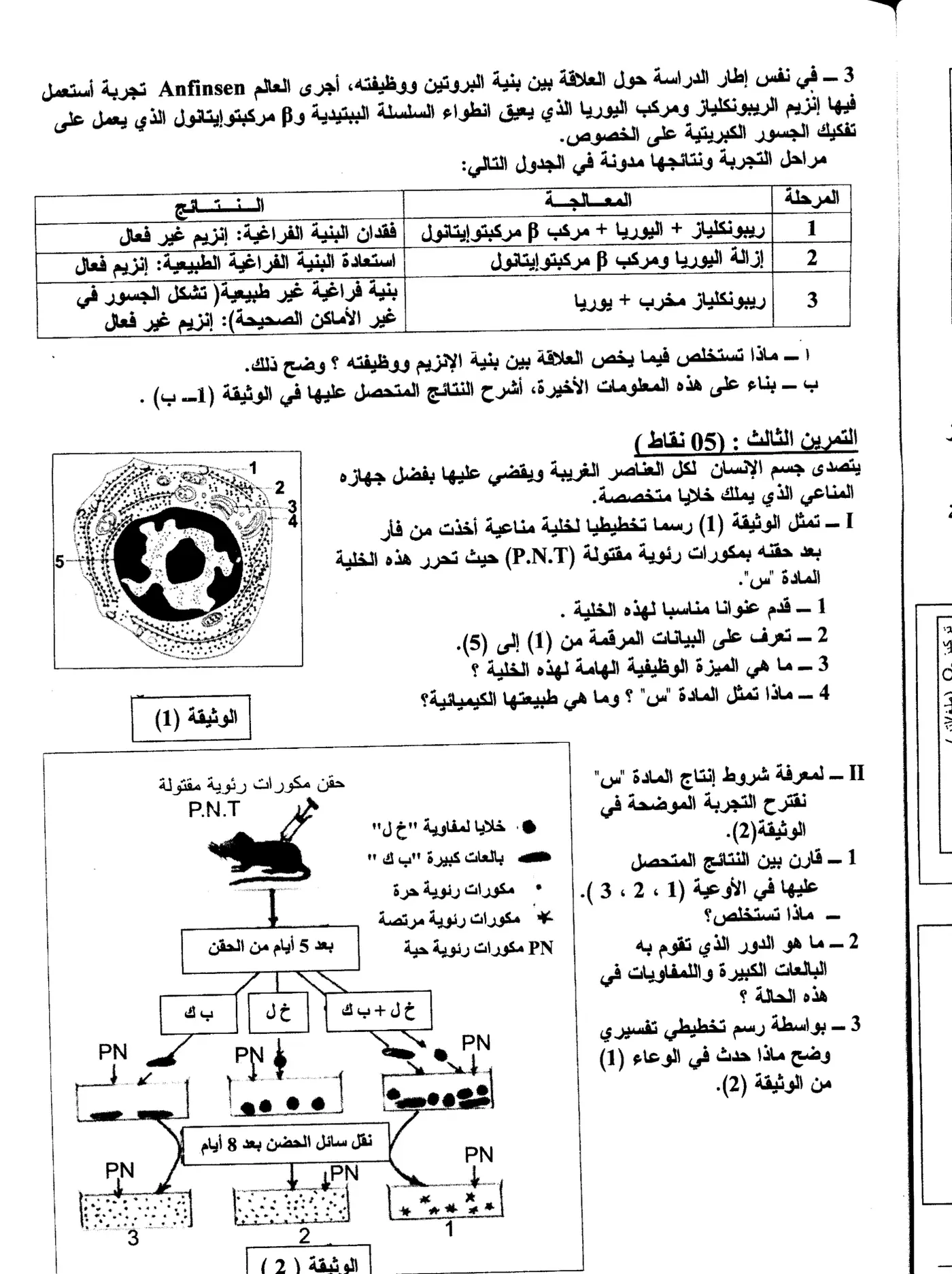 الصفحة 6 من 6