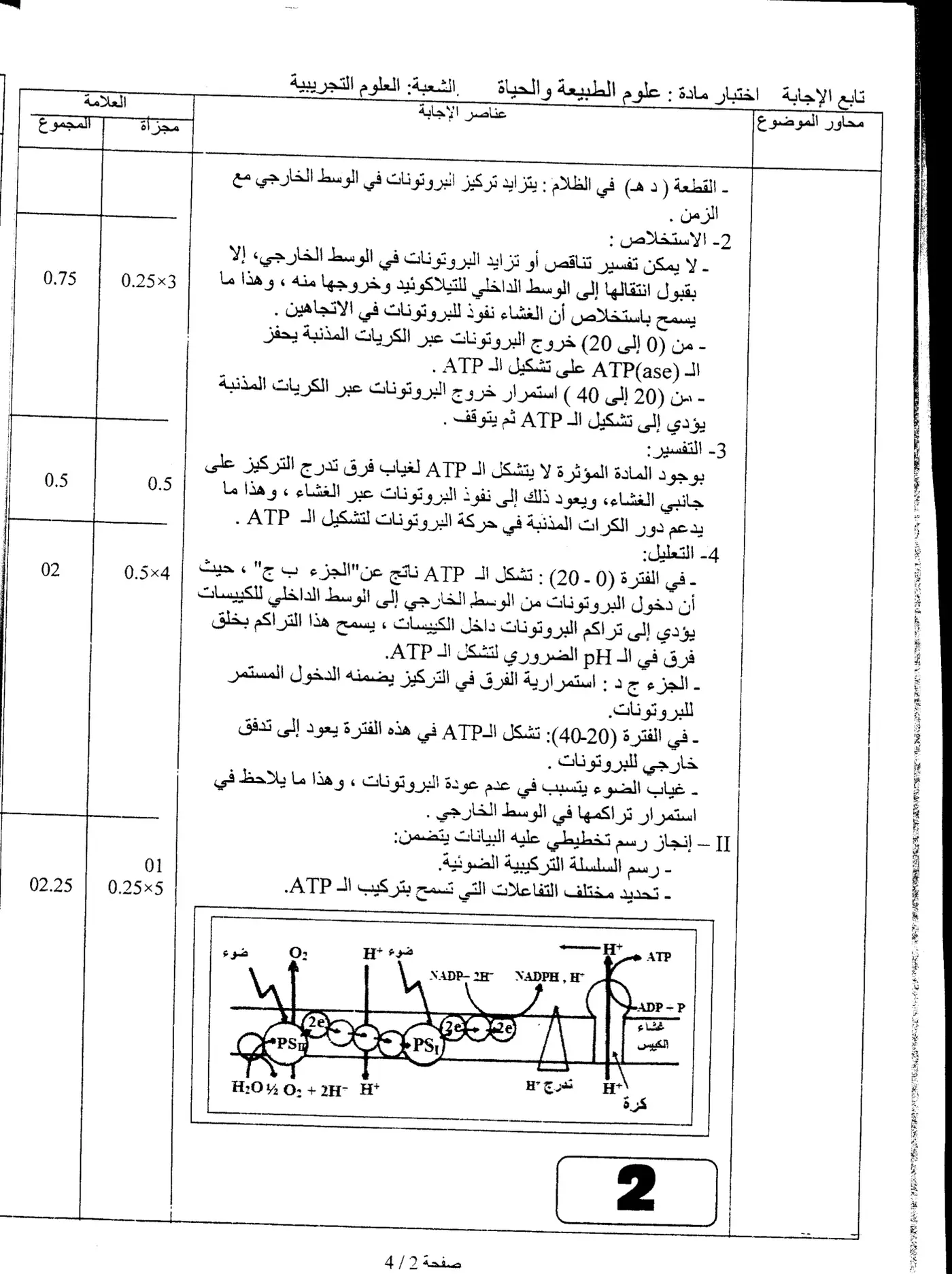 الصفحة 2 من 7