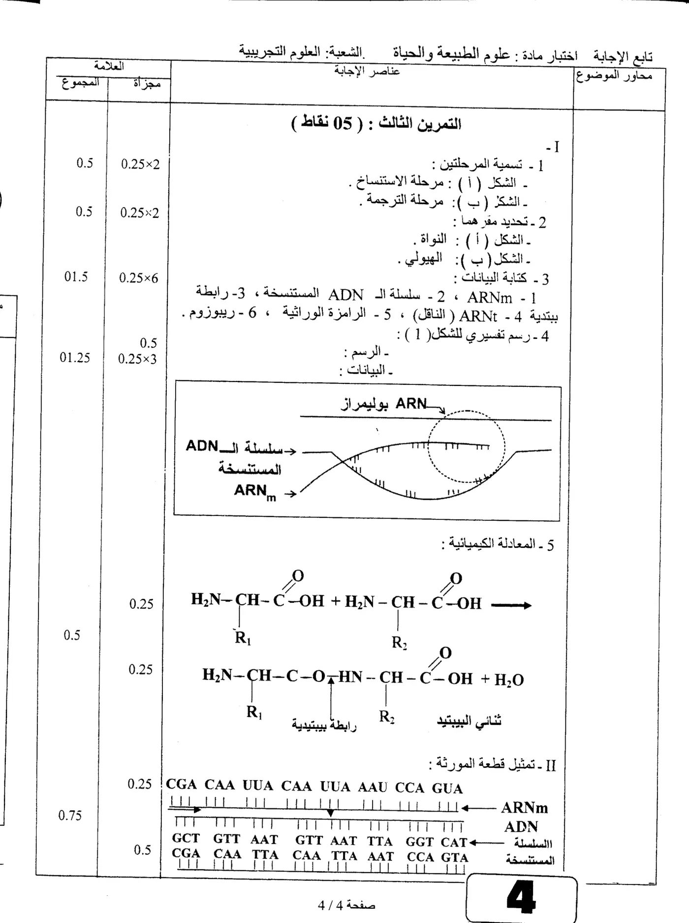 الصفحة 4 من 7