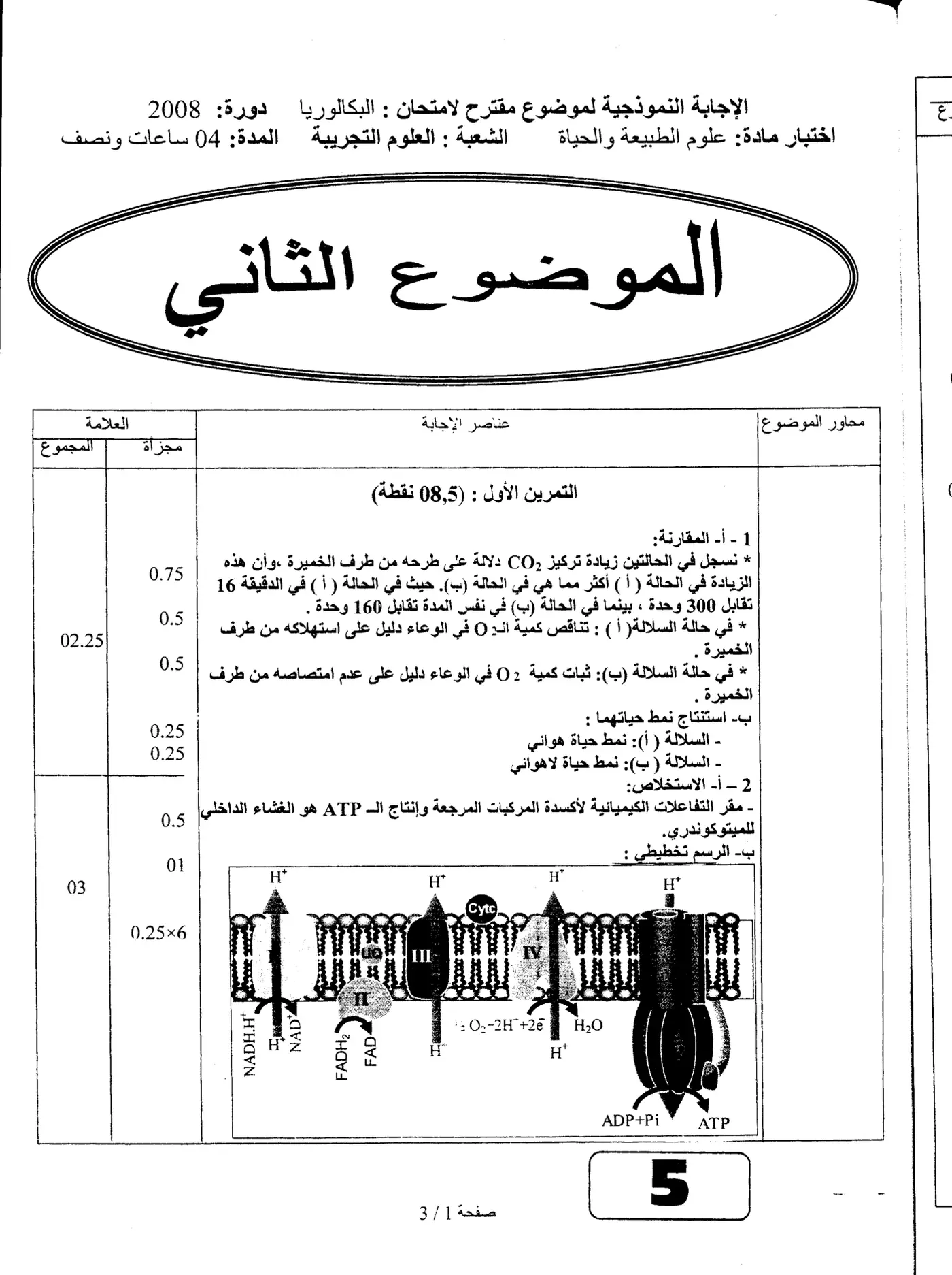 الصفحة 5 من 7