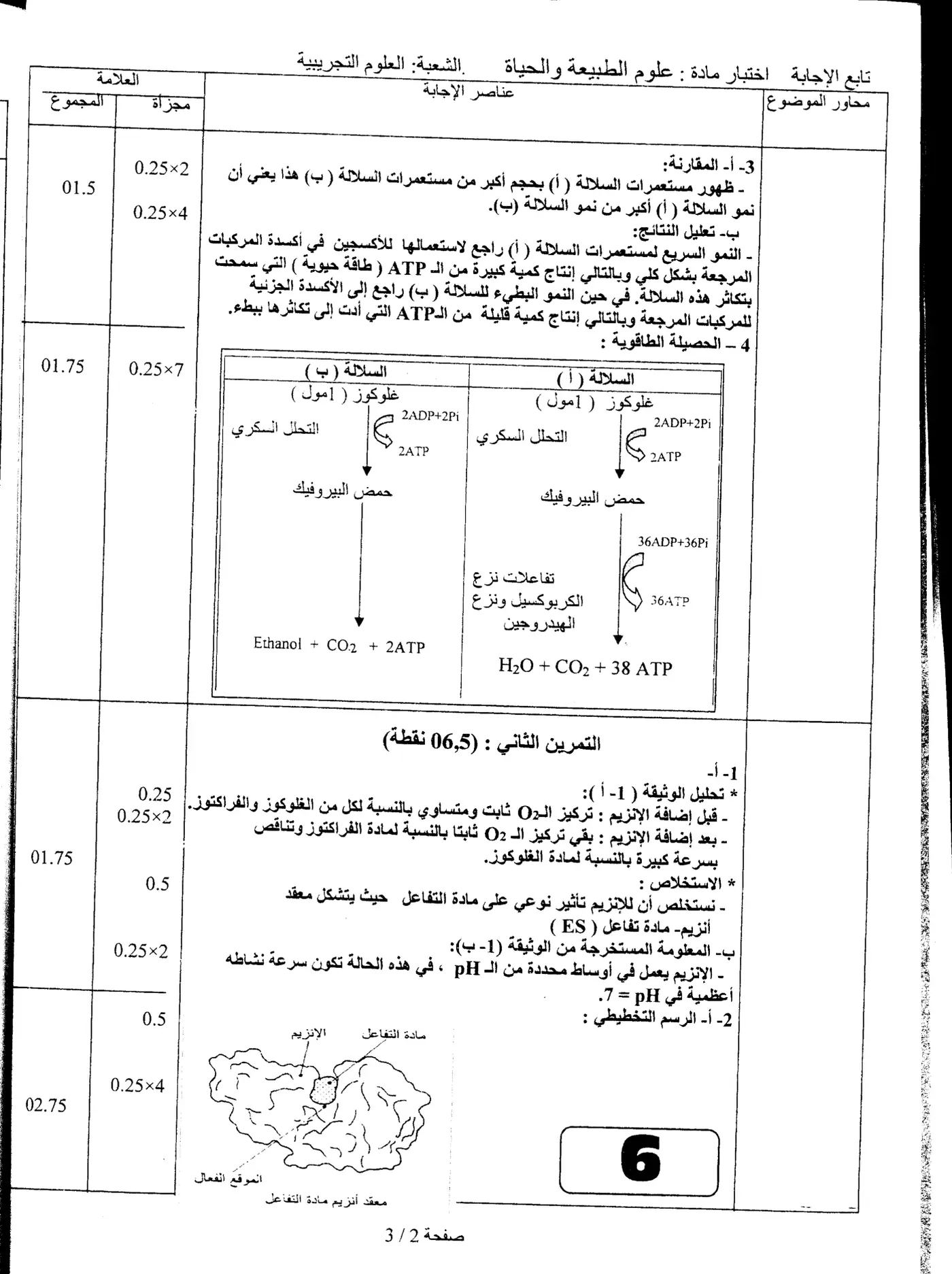 الصفحة 6 من 7