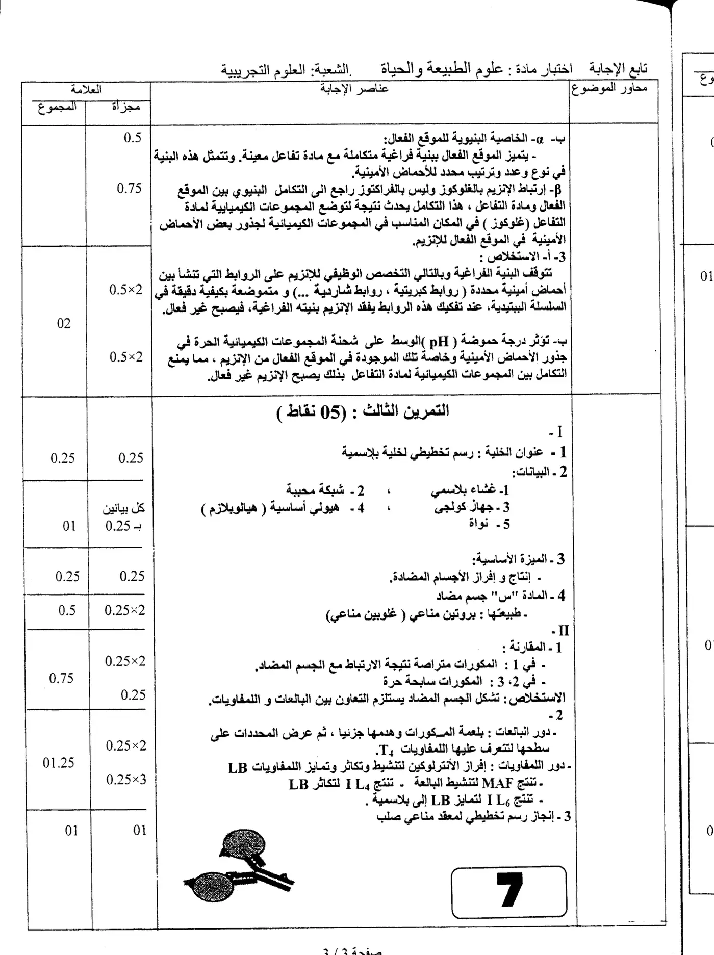 الصفحة 7 من 7