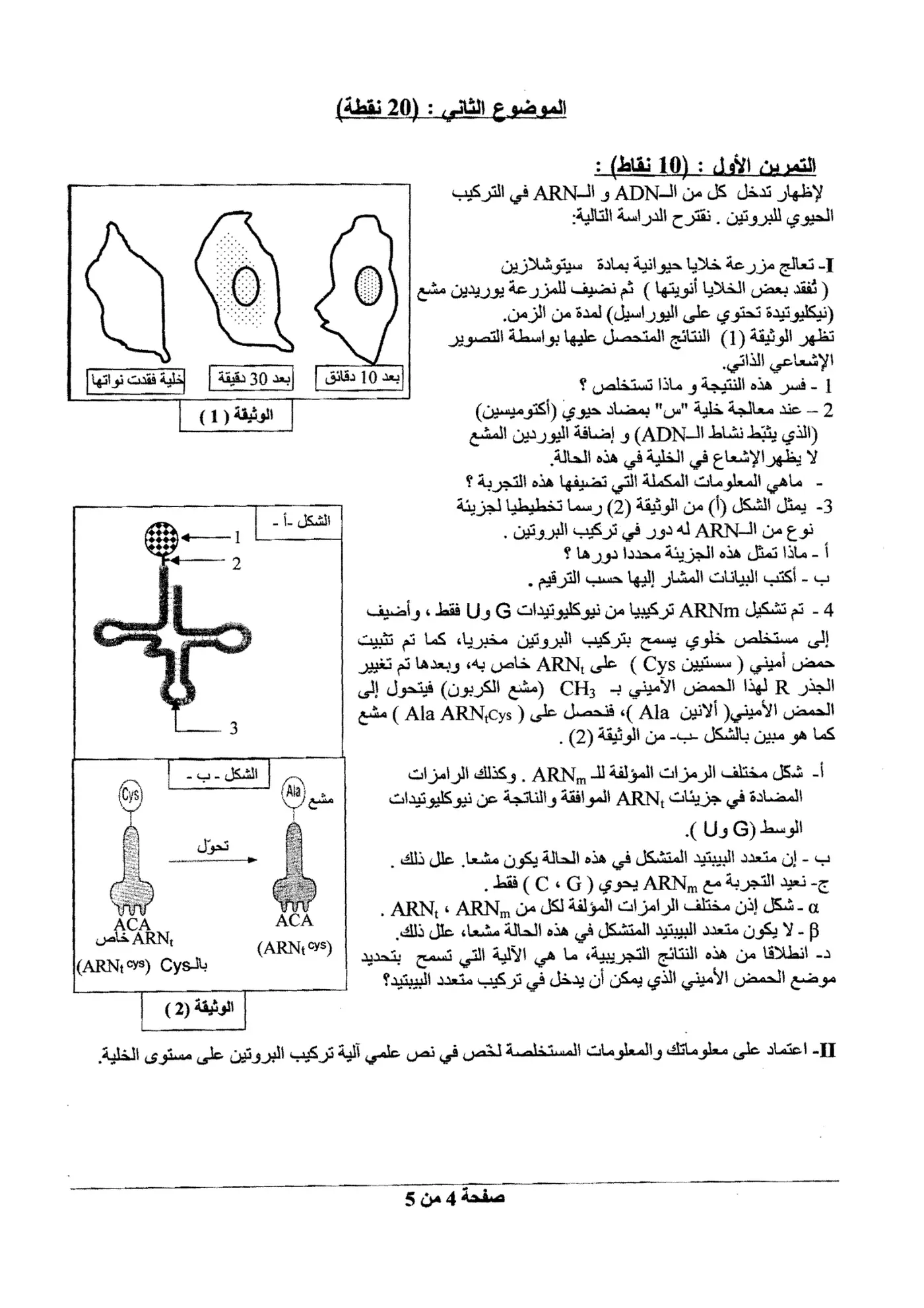الصفحة 4 من 5