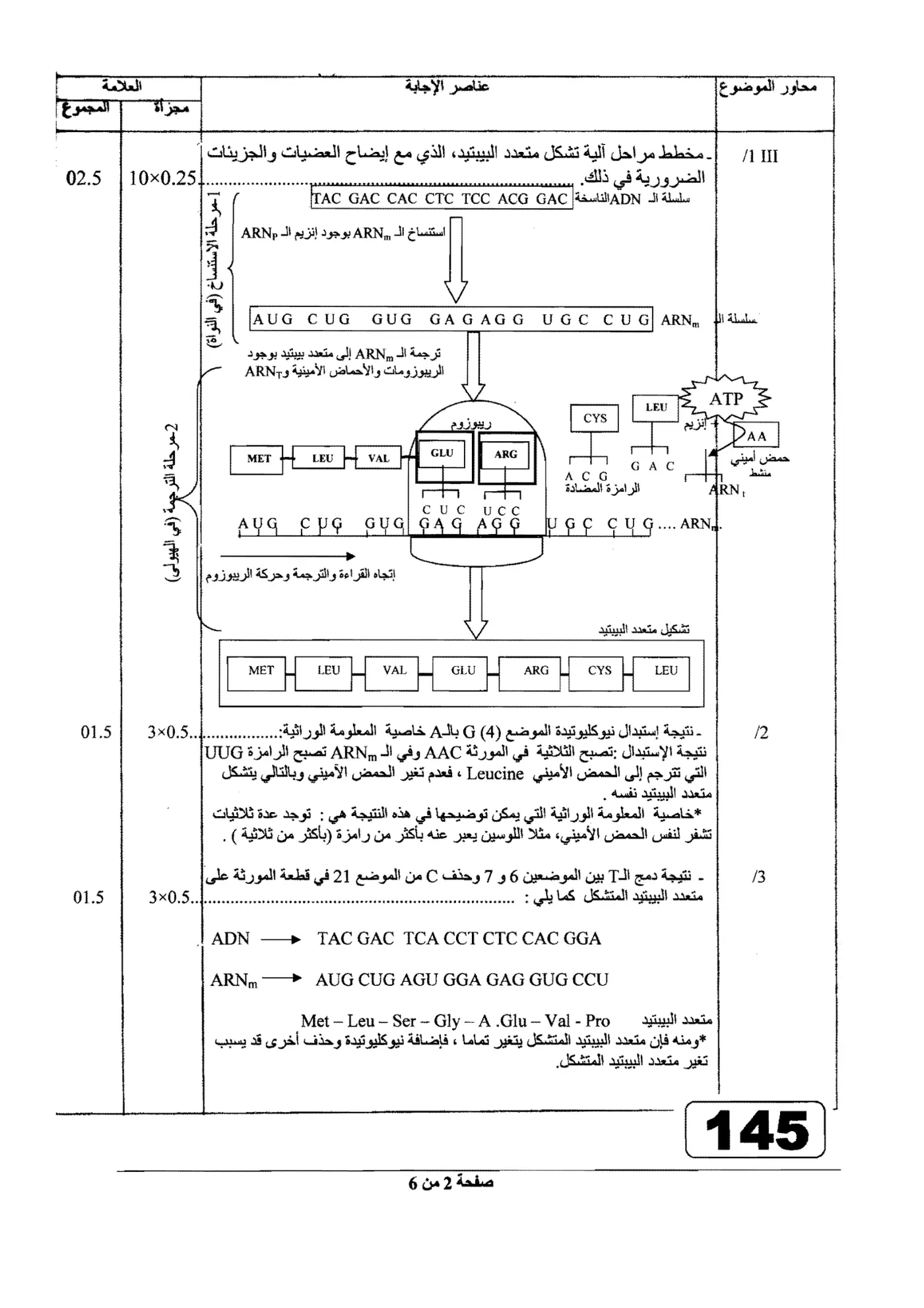 الصفحة 2 من 6