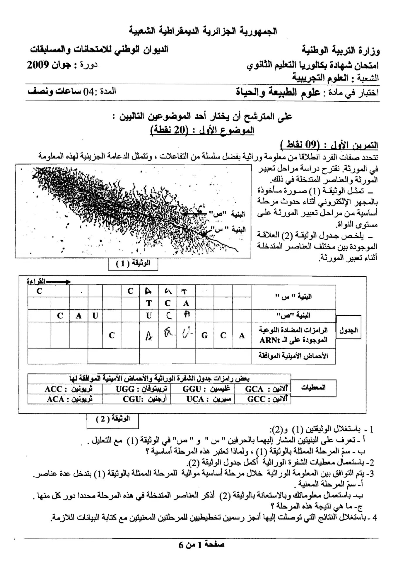 الصفحة 1 من 6