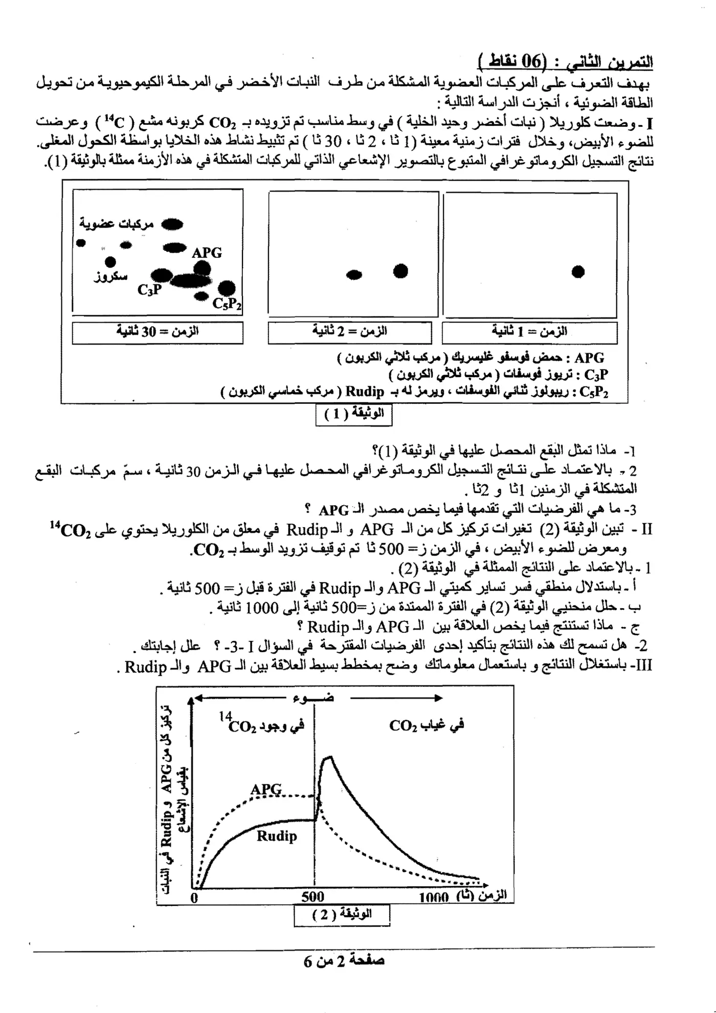 الصفحة 2 من 6