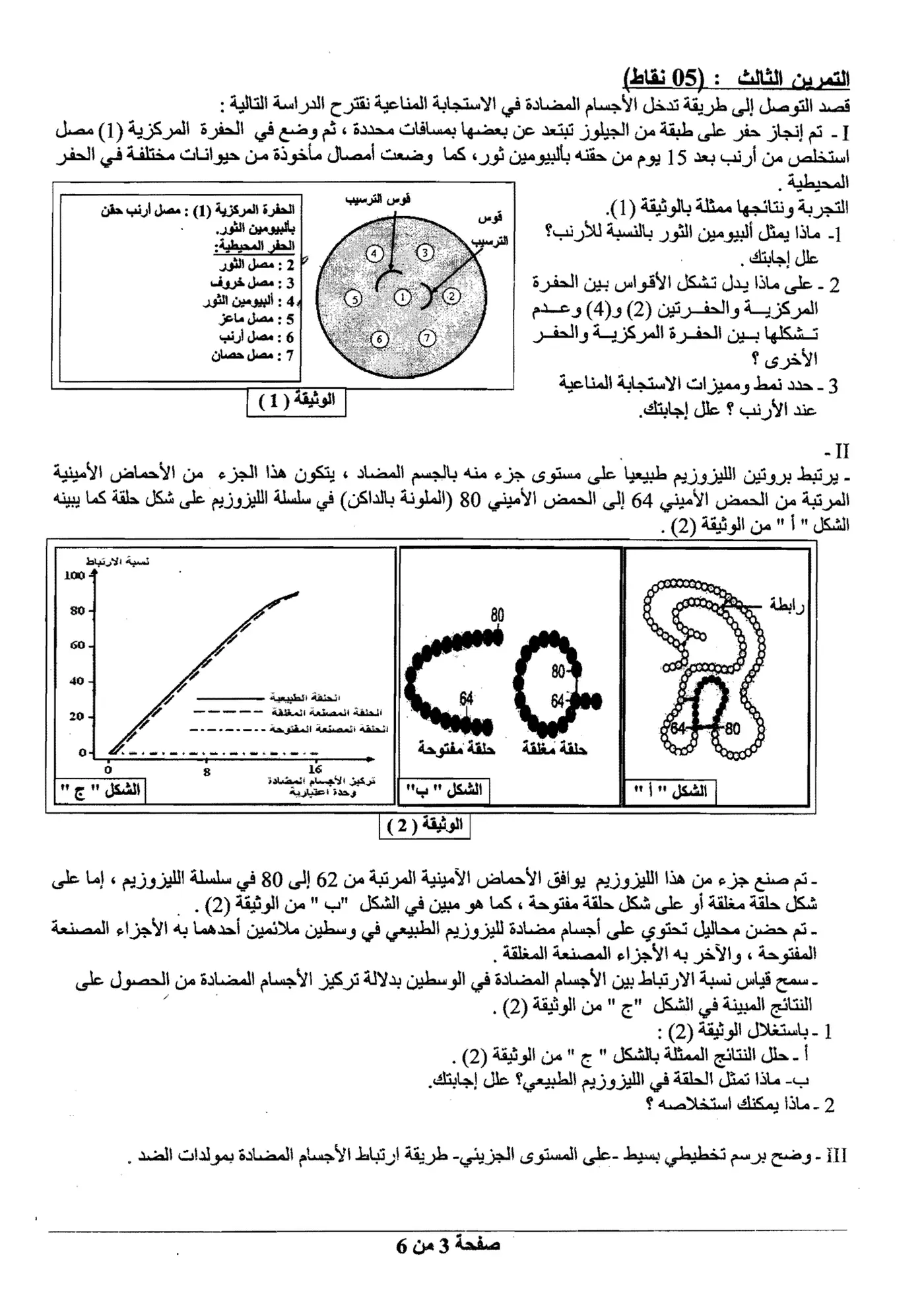 الصفحة 3 من 6