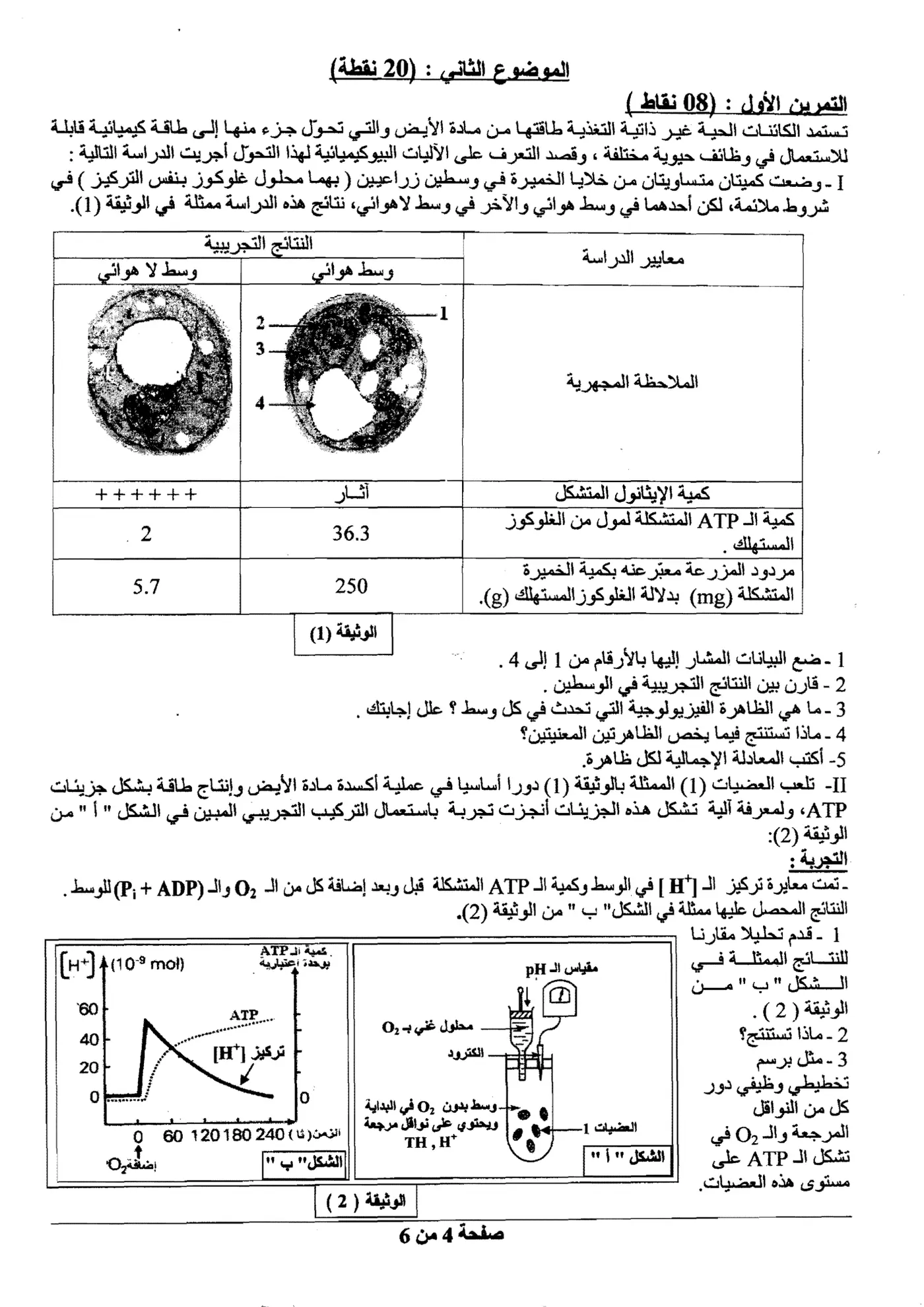 الصفحة 4 من 6
