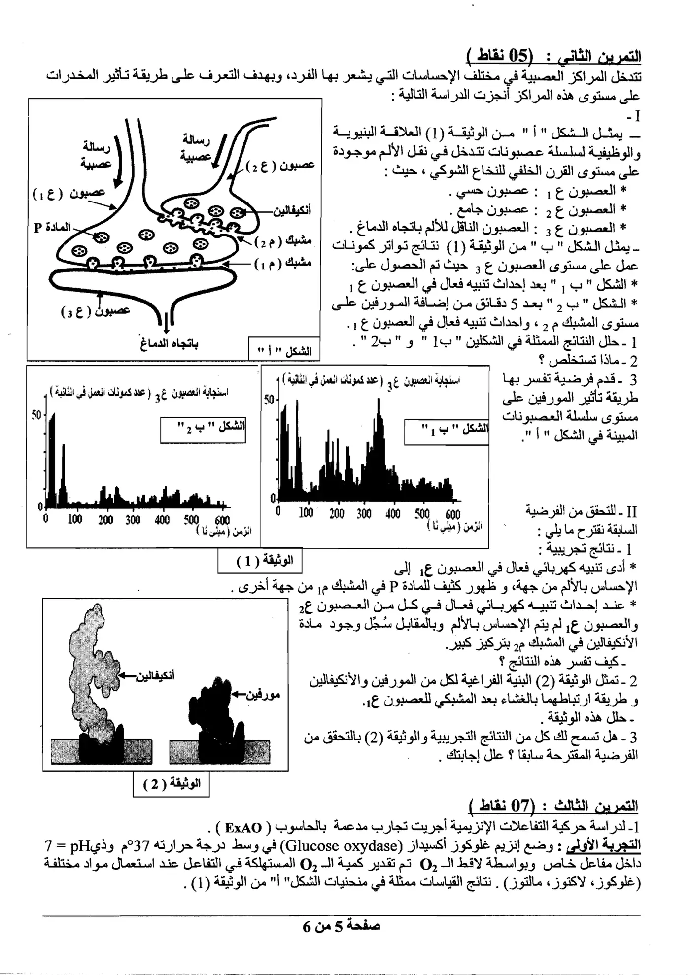 الصفحة 5 من 6