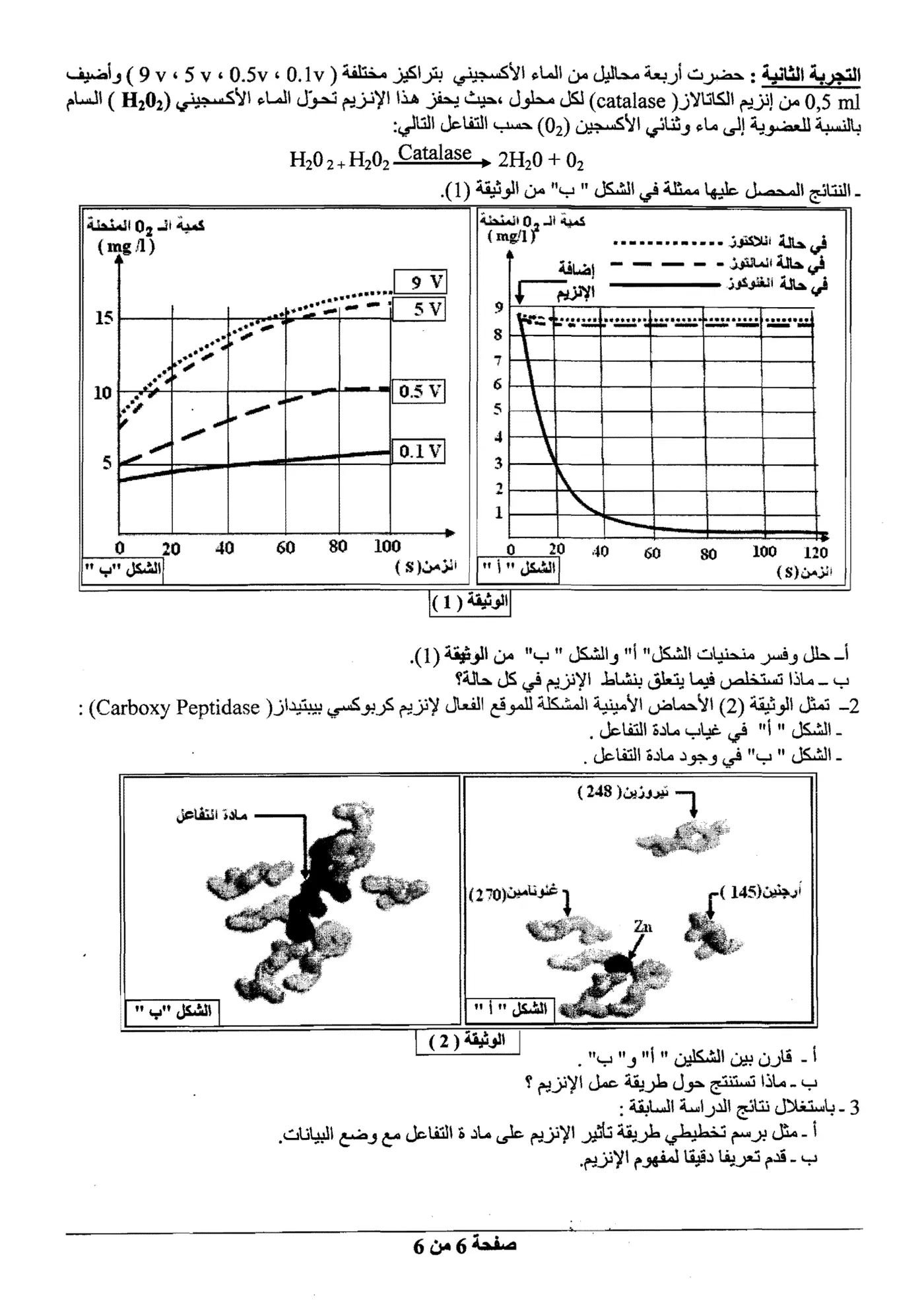 الصفحة 6 من 6