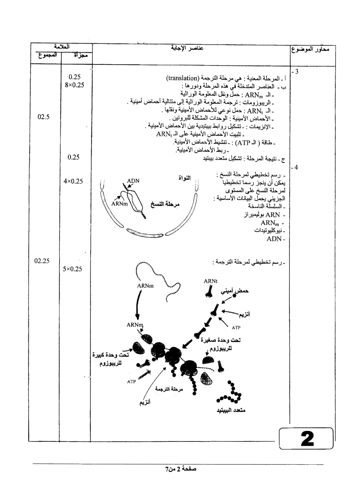 الصفحة 2 من 7