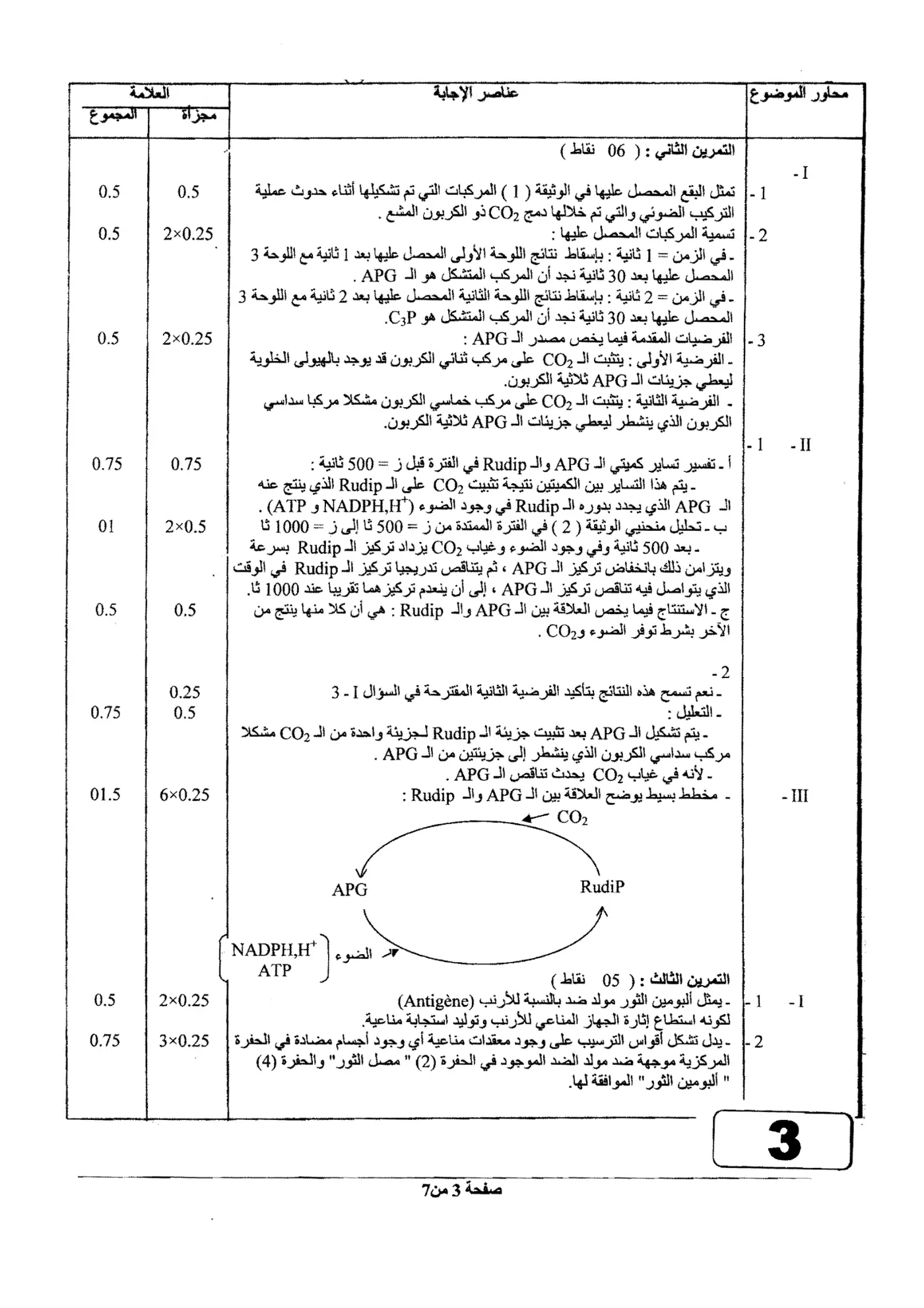 الصفحة 3 من 7