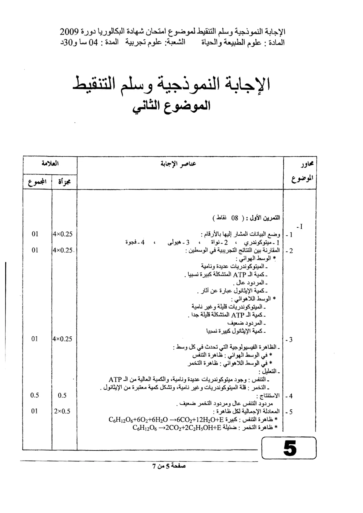 الصفحة 5 من 7