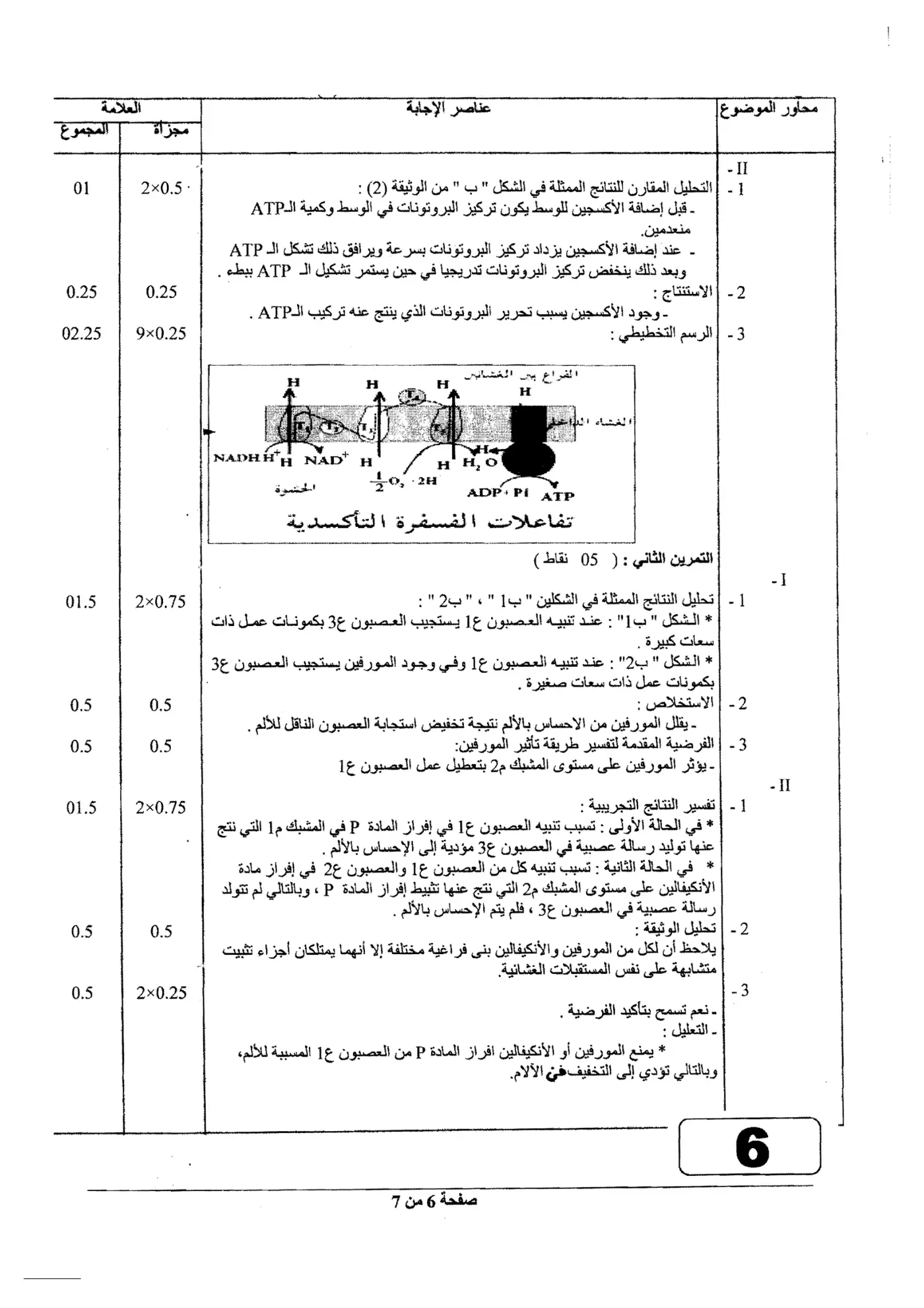 الصفحة 6 من 7