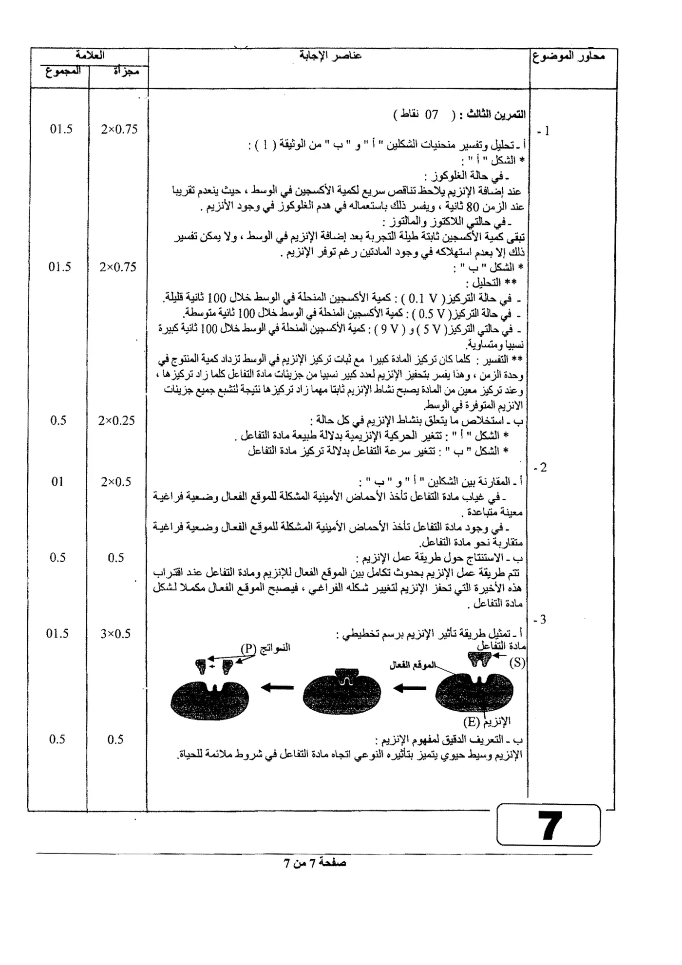 الصفحة 7 من 7