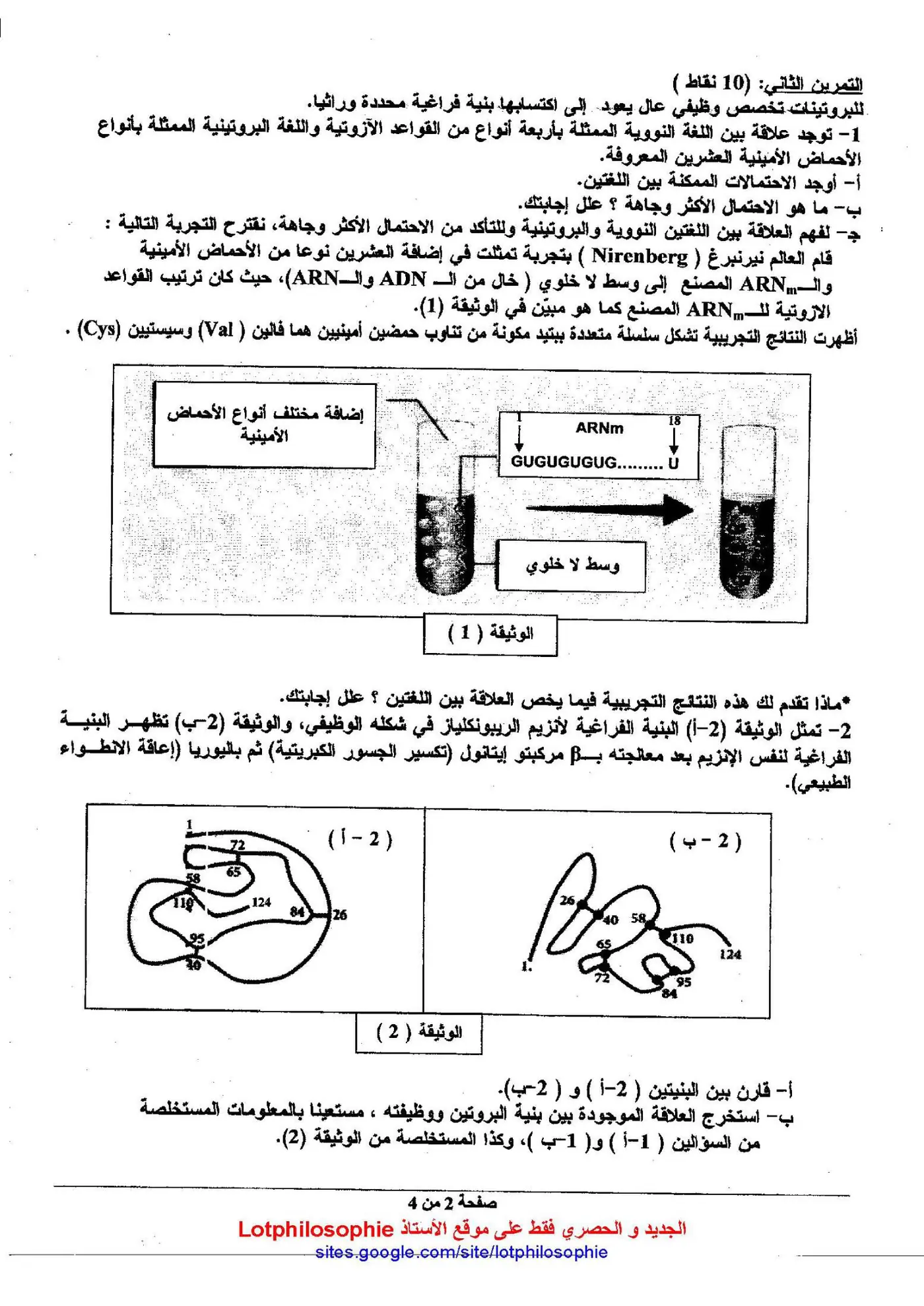 الصفحة 2 من 4