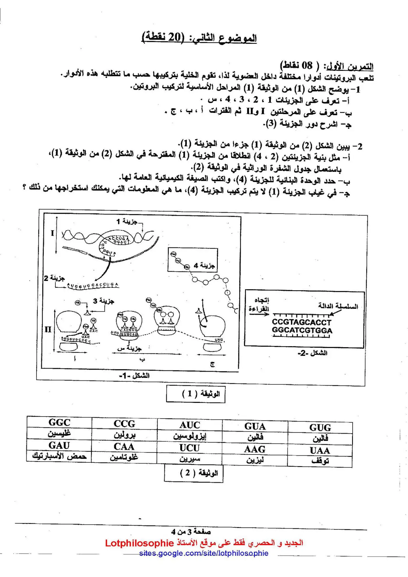 الصفحة 3 من 4