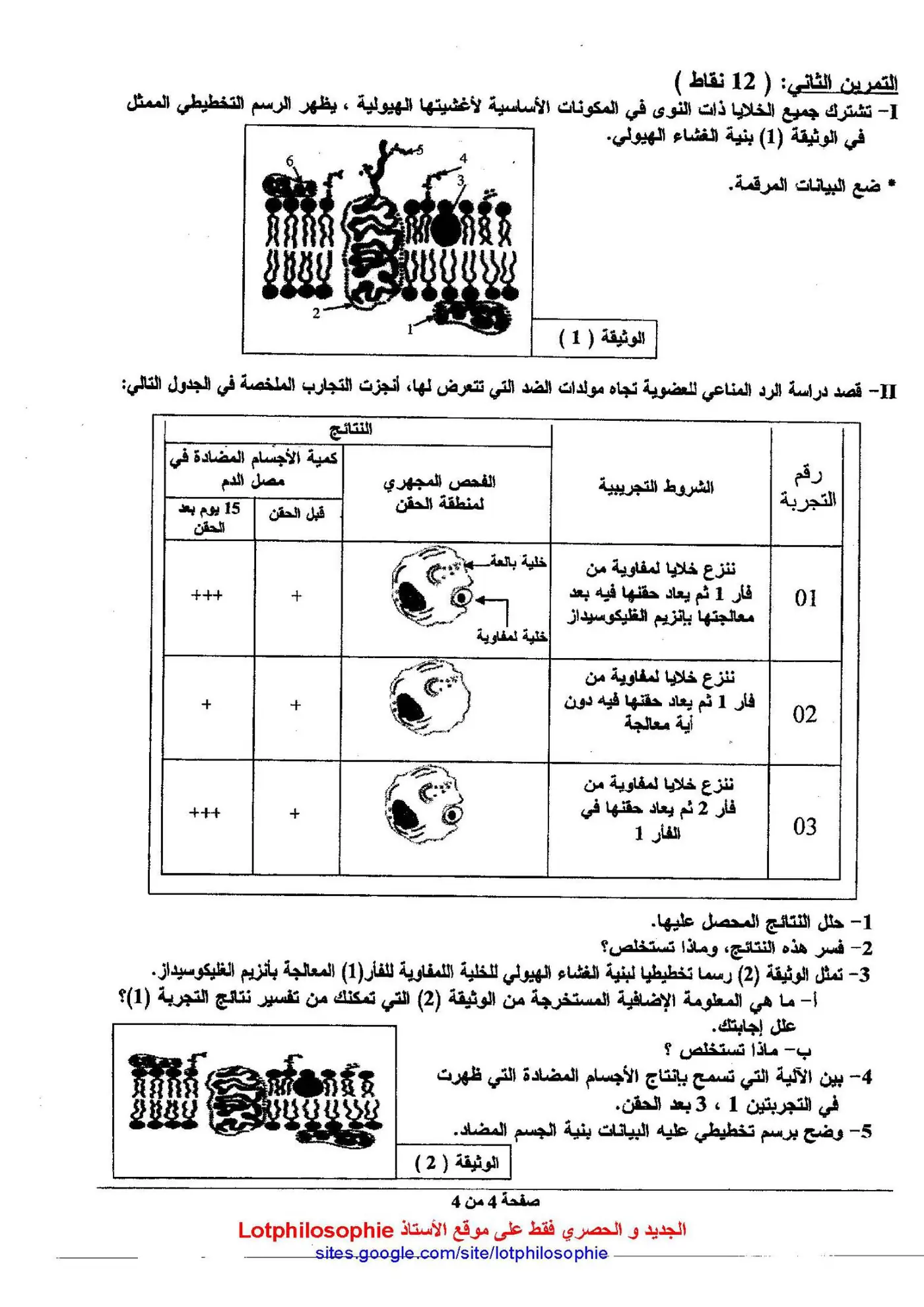 الصفحة 4 من 4
