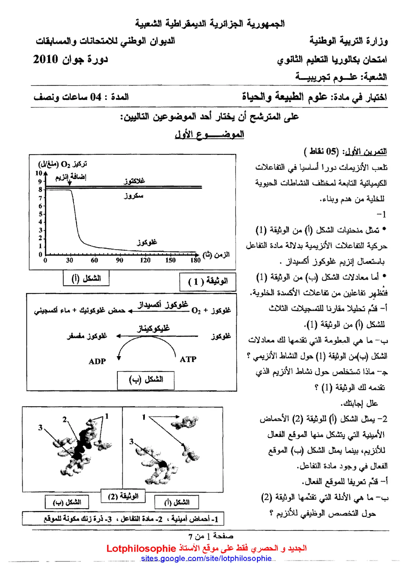 الصفحة 1 من 7