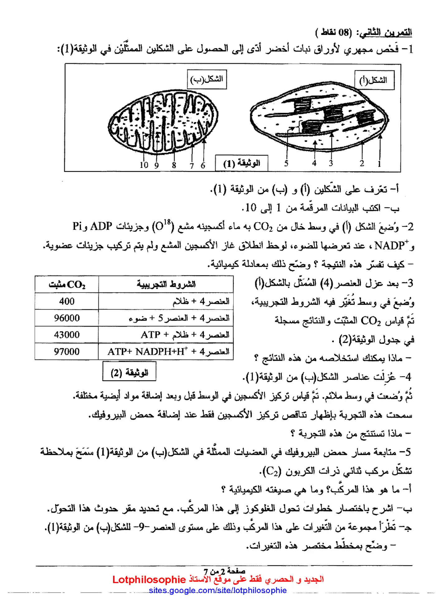 الصفحة 2 من 7
