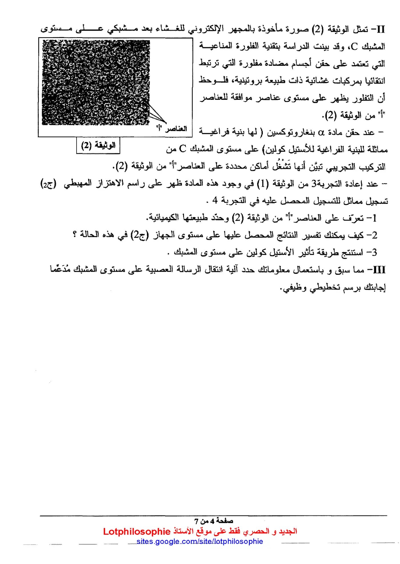 الصفحة 4 من 7