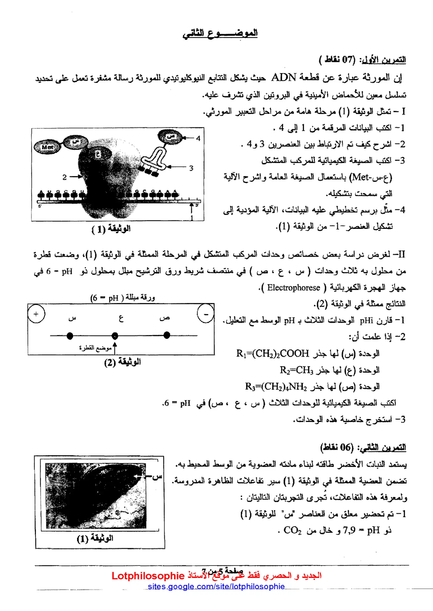 الصفحة 5 من 7