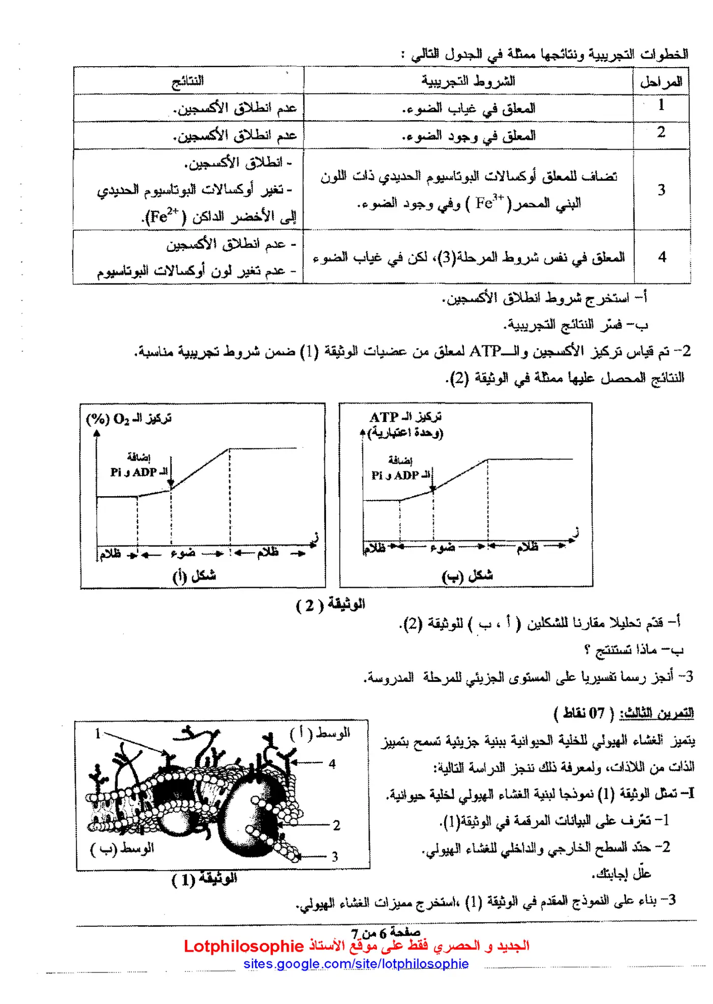 الصفحة 6 من 7