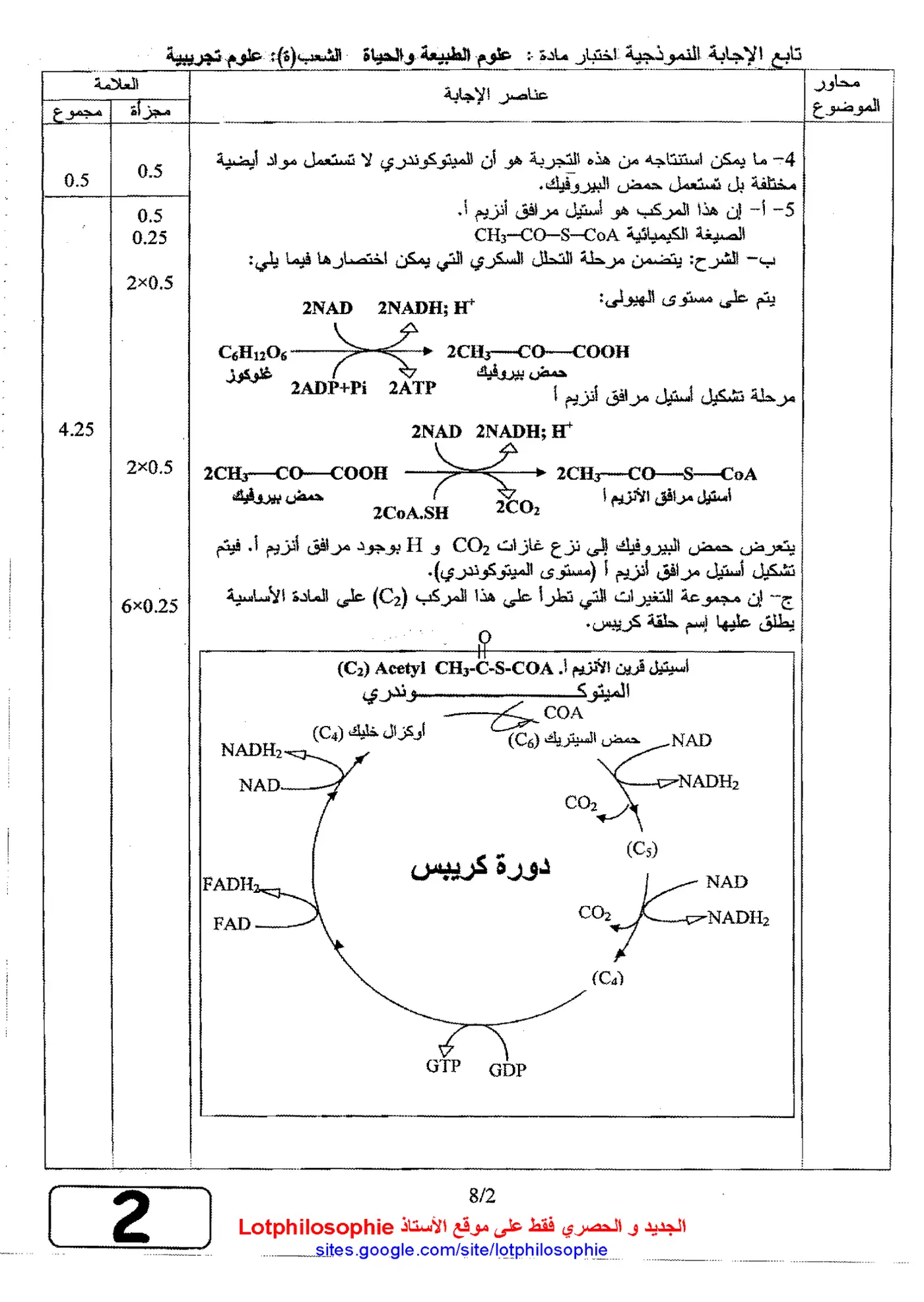 الصفحة 2 من 8