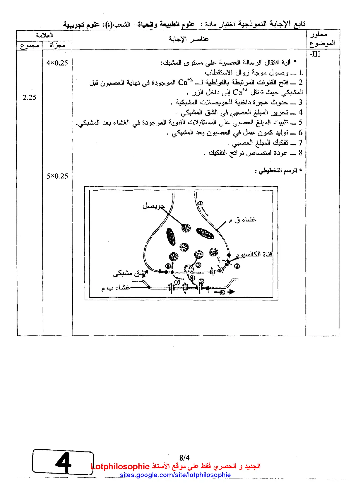 الصفحة 4 من 8