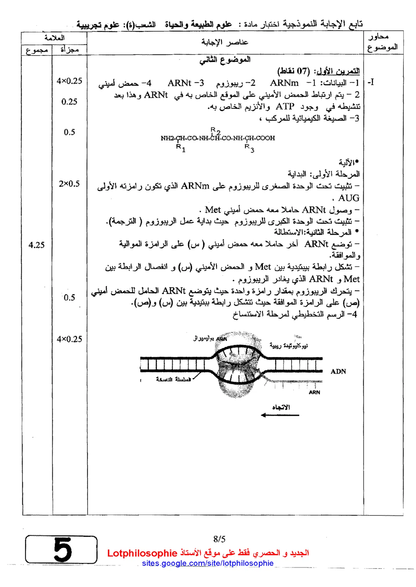 الصفحة 5 من 8