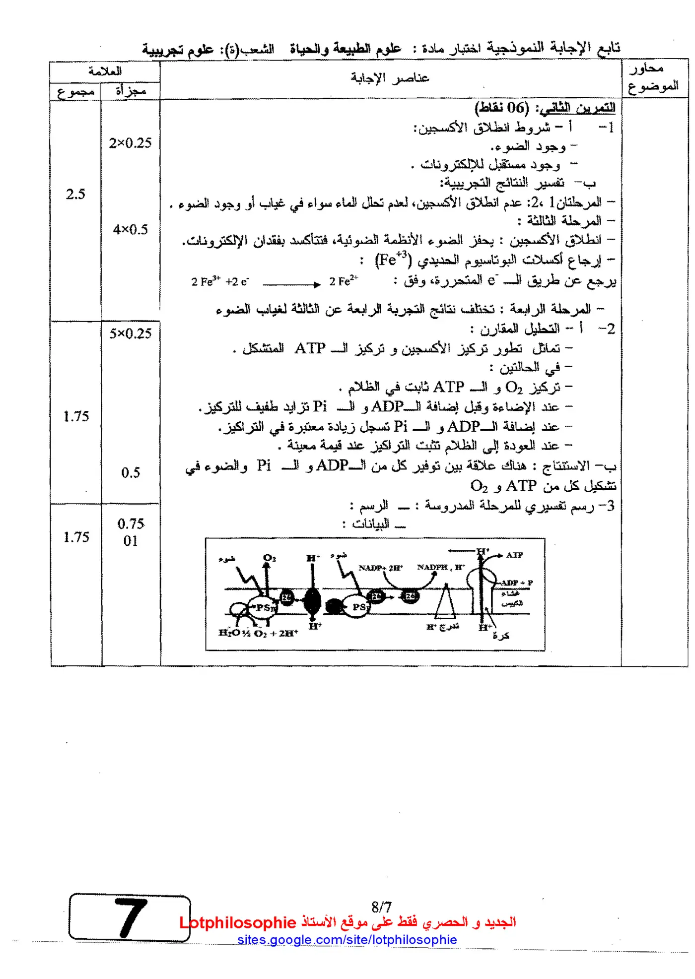 الصفحة 7 من 8