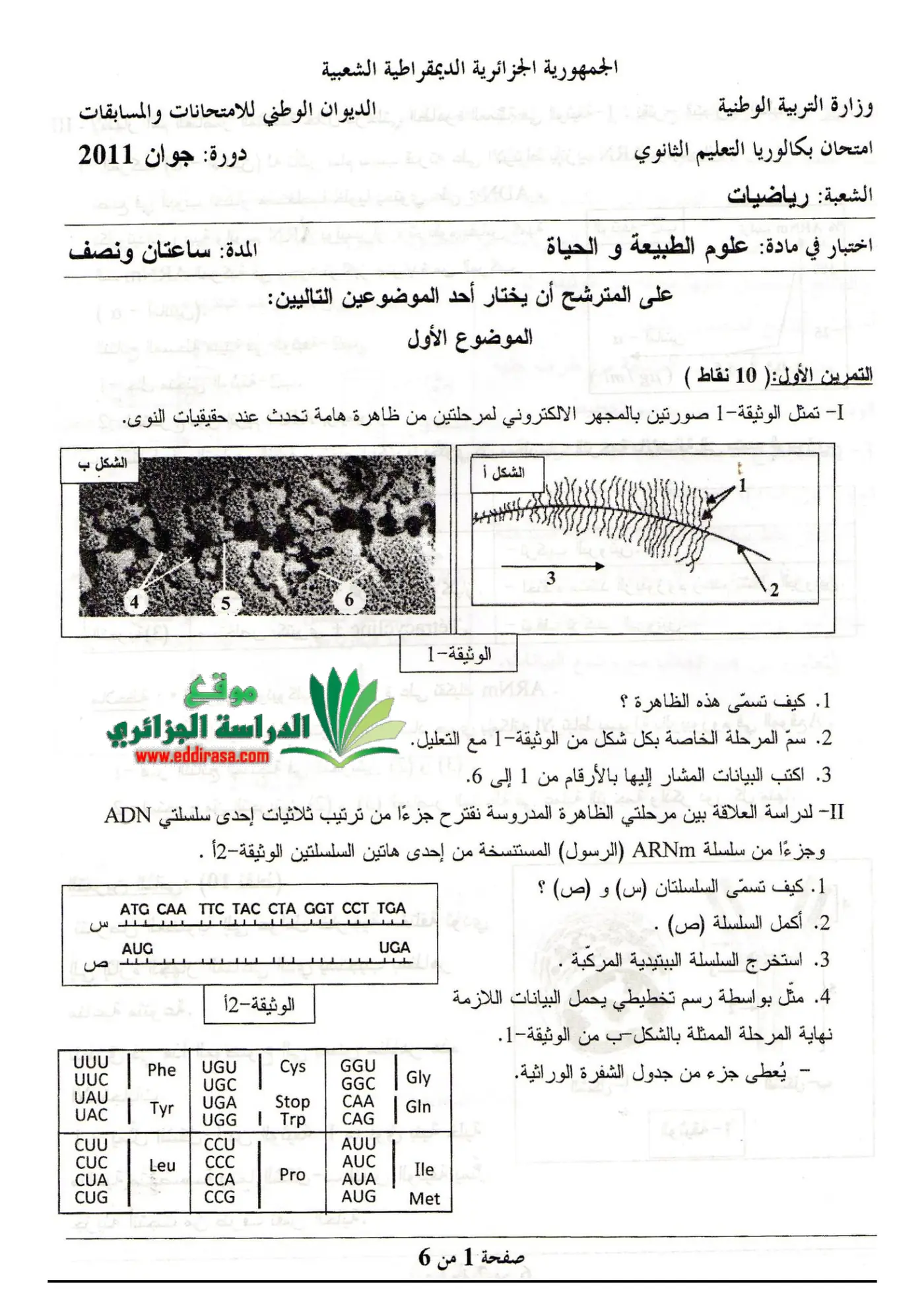 الصفحة 1 من 6
