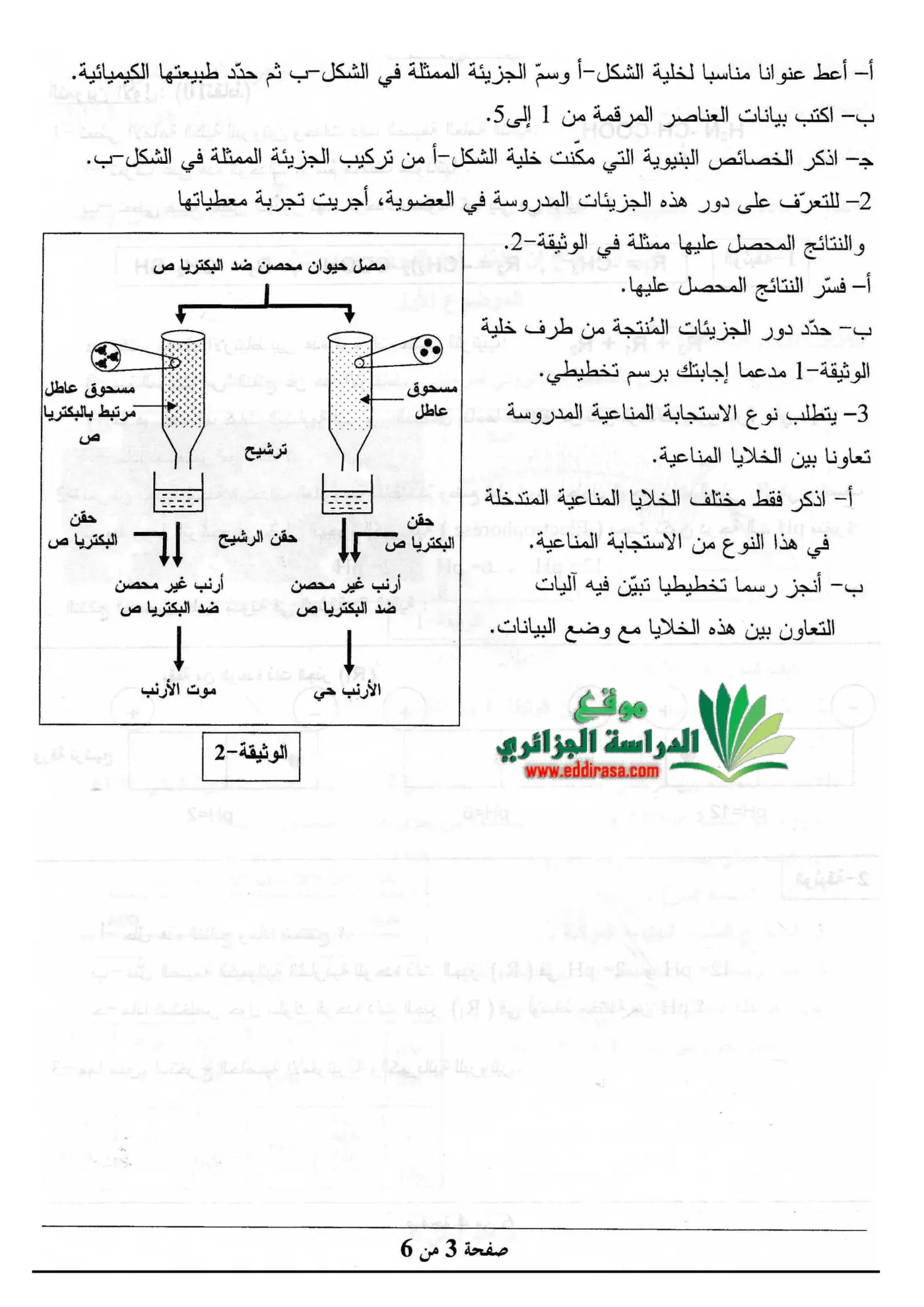 الصفحة 3 من 6