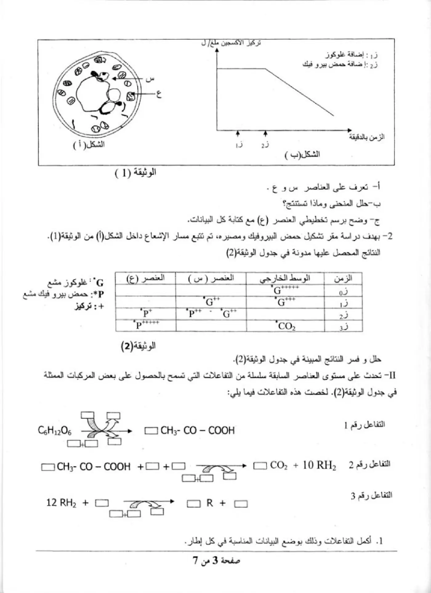 الصفحة 3 من 7