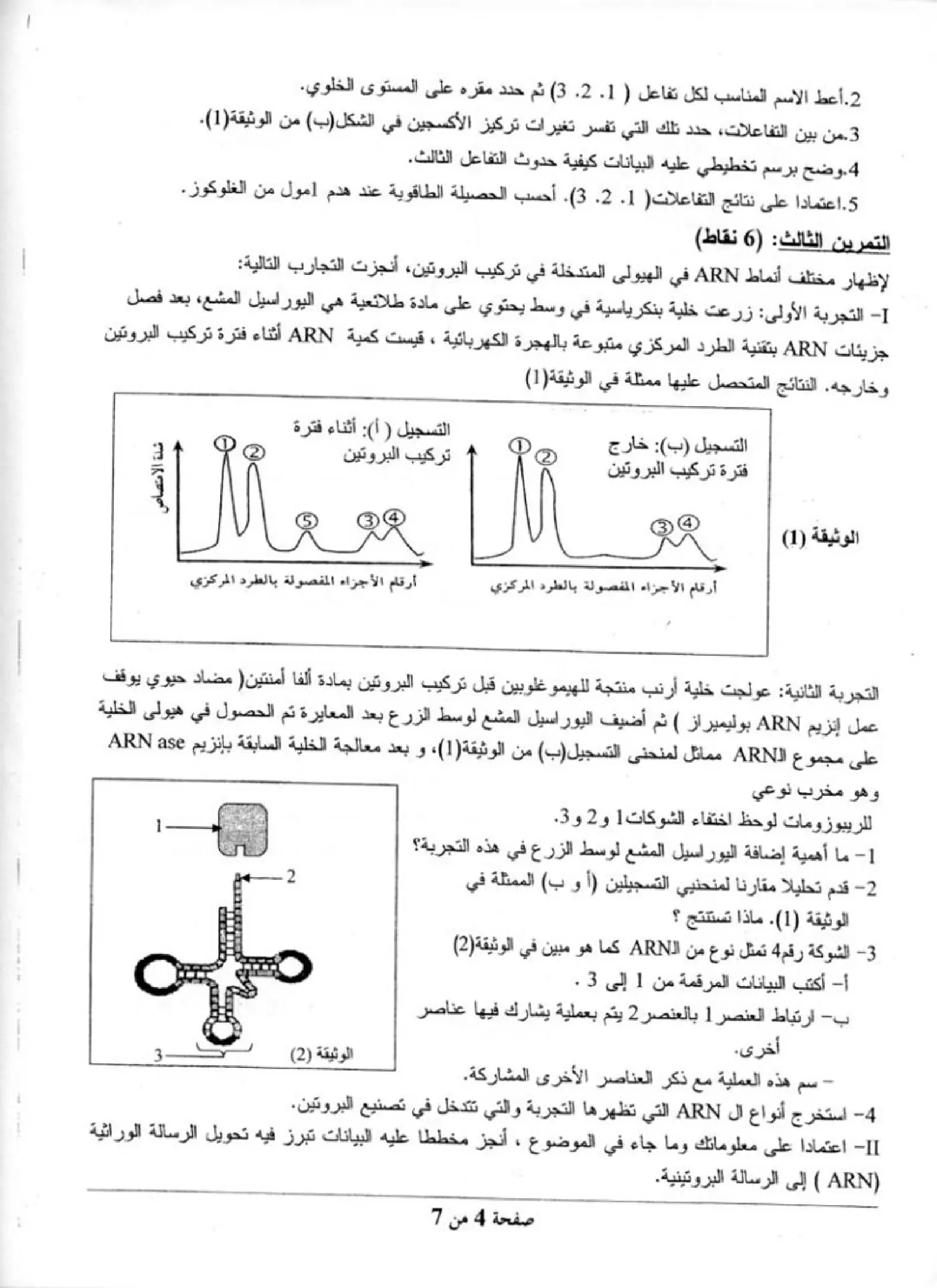 الصفحة 4 من 7