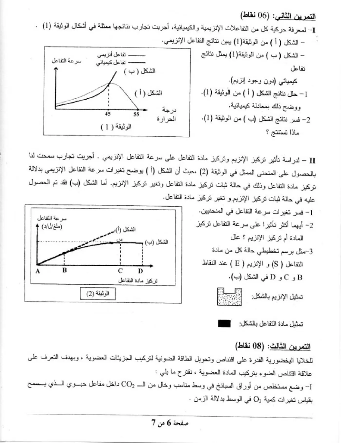 الصفحة 6 من 7