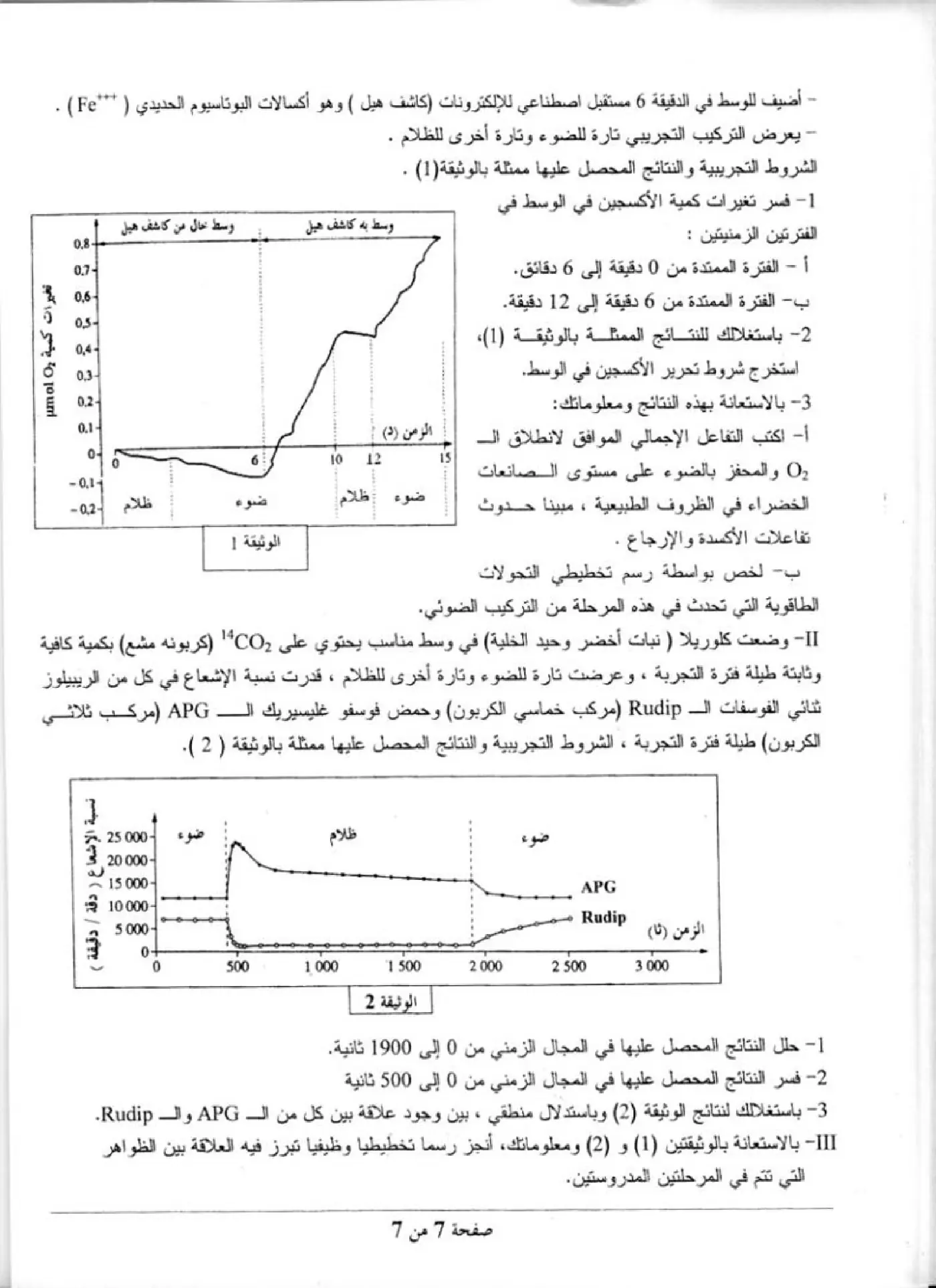 الصفحة 7 من 7